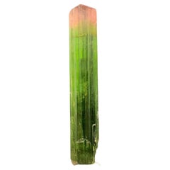 Gorgeous 53.65 Carat Bi Color Tourmaline Crystal From Paprok Mine Afghanistan