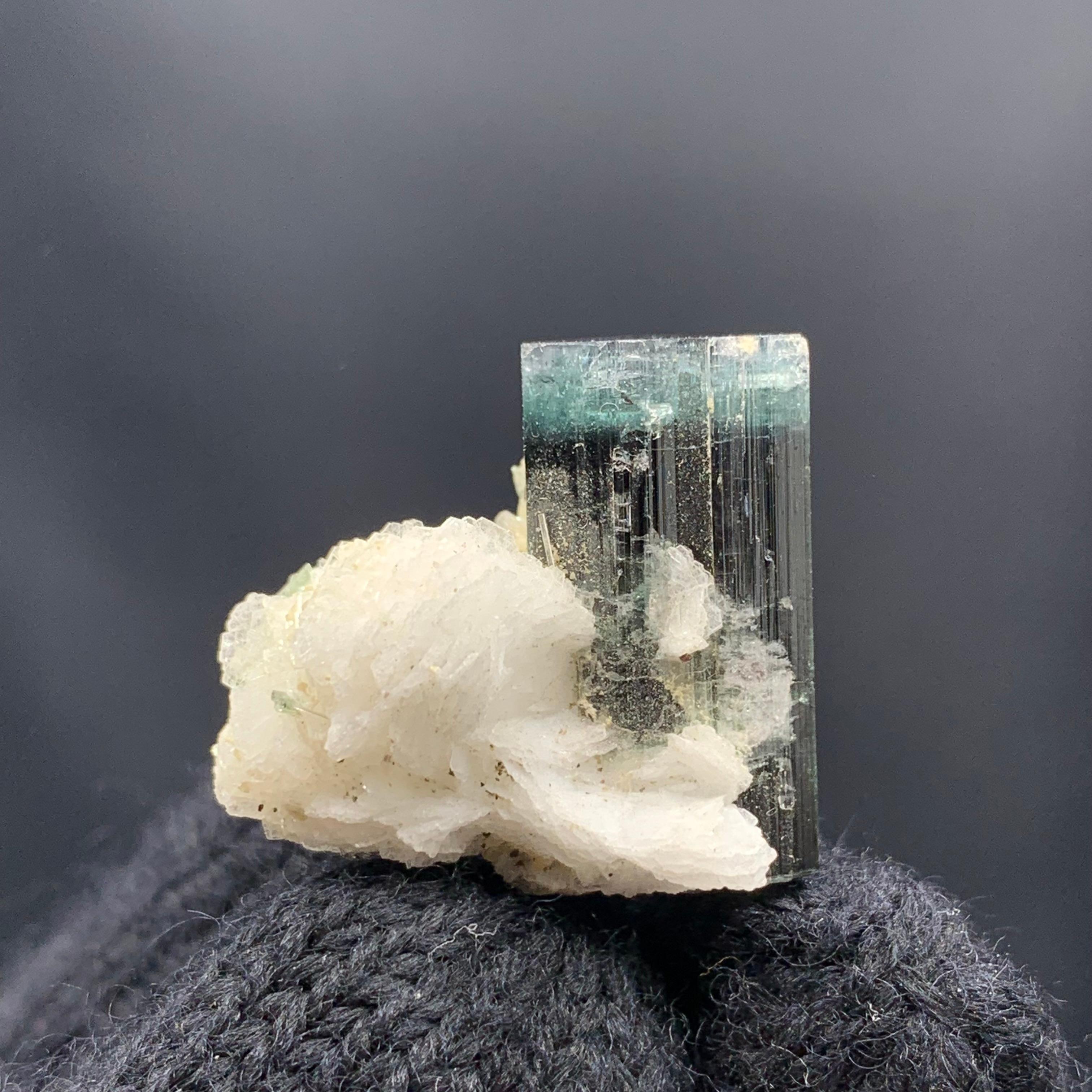 PRODUKTINFORMATION:

Probenart: Zweifarbige Turmalin-Probe mit Albit 
Gewicht: 9,22 Gramm
Abmessungen: H: 2.3 x B: 2.5 x T: 1.6 Cm
Herkunft: Afghanistan 
Behandlung: Keine
Dm mich für mehr Anfragen!

BESCHREIBUNG:

Bicolor-Turmalinstufe mit Albit