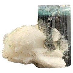 Splendido esemplare di tormalina bicolore con albite