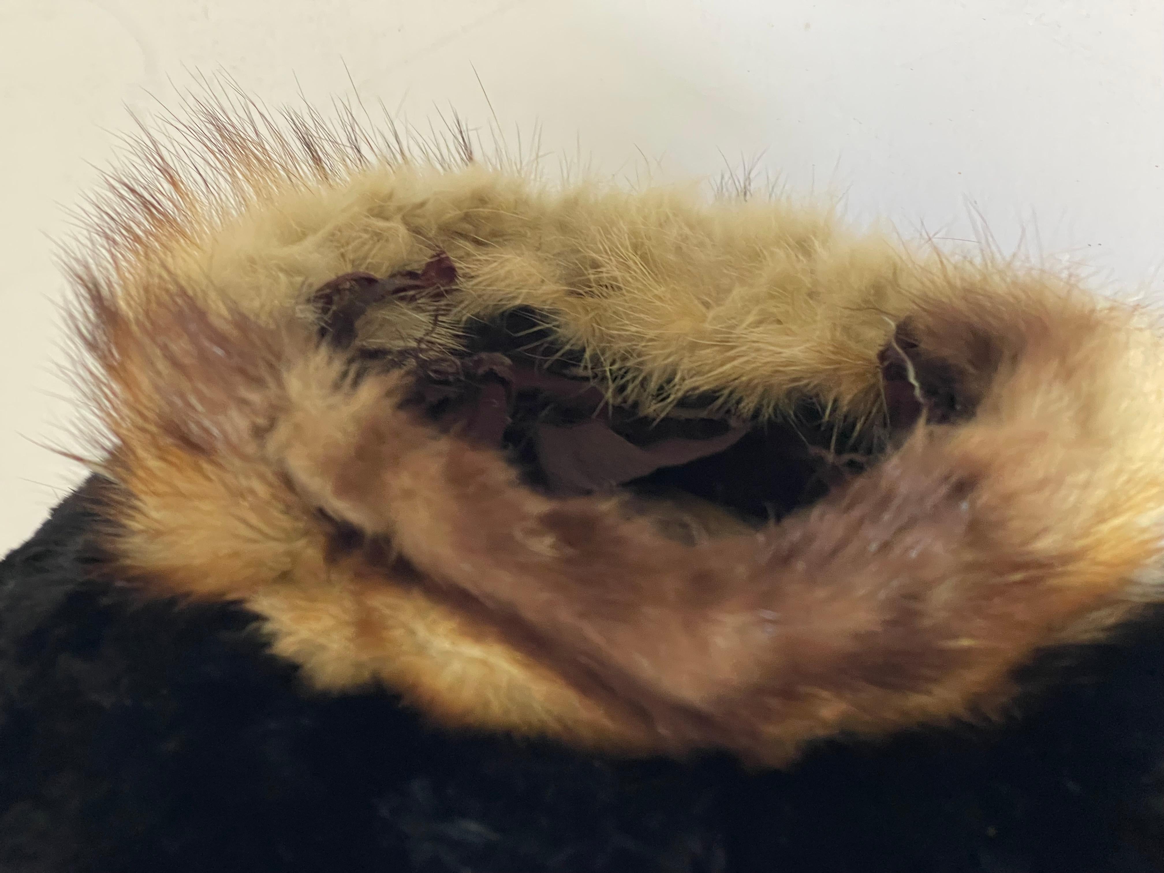 Milieu du XXe siècle Magnifique manchon en fourrure de castor noir en vente