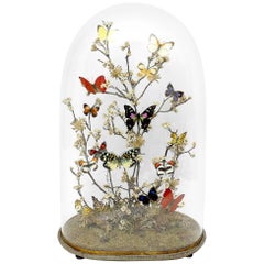 Gorgeous Diorama with Butterflies and Flowers, Italy, circa 1880