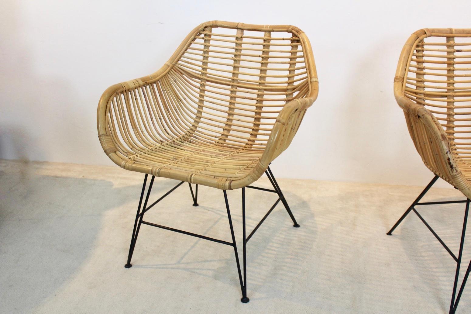 Wunderschöne niederländische Stühle aus Korbweide und Stahl (Moderne der Mitte des Jahrhunderts) im Angebot