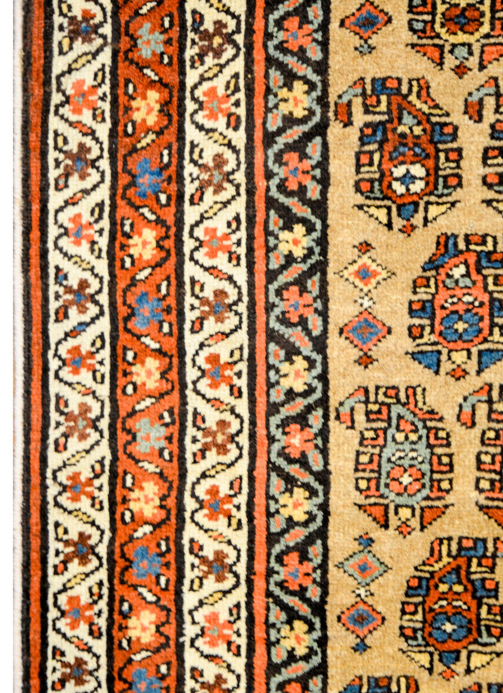 Vegetable Dyed Gorgeous Early 20th Century Bidjar Rug For Sale