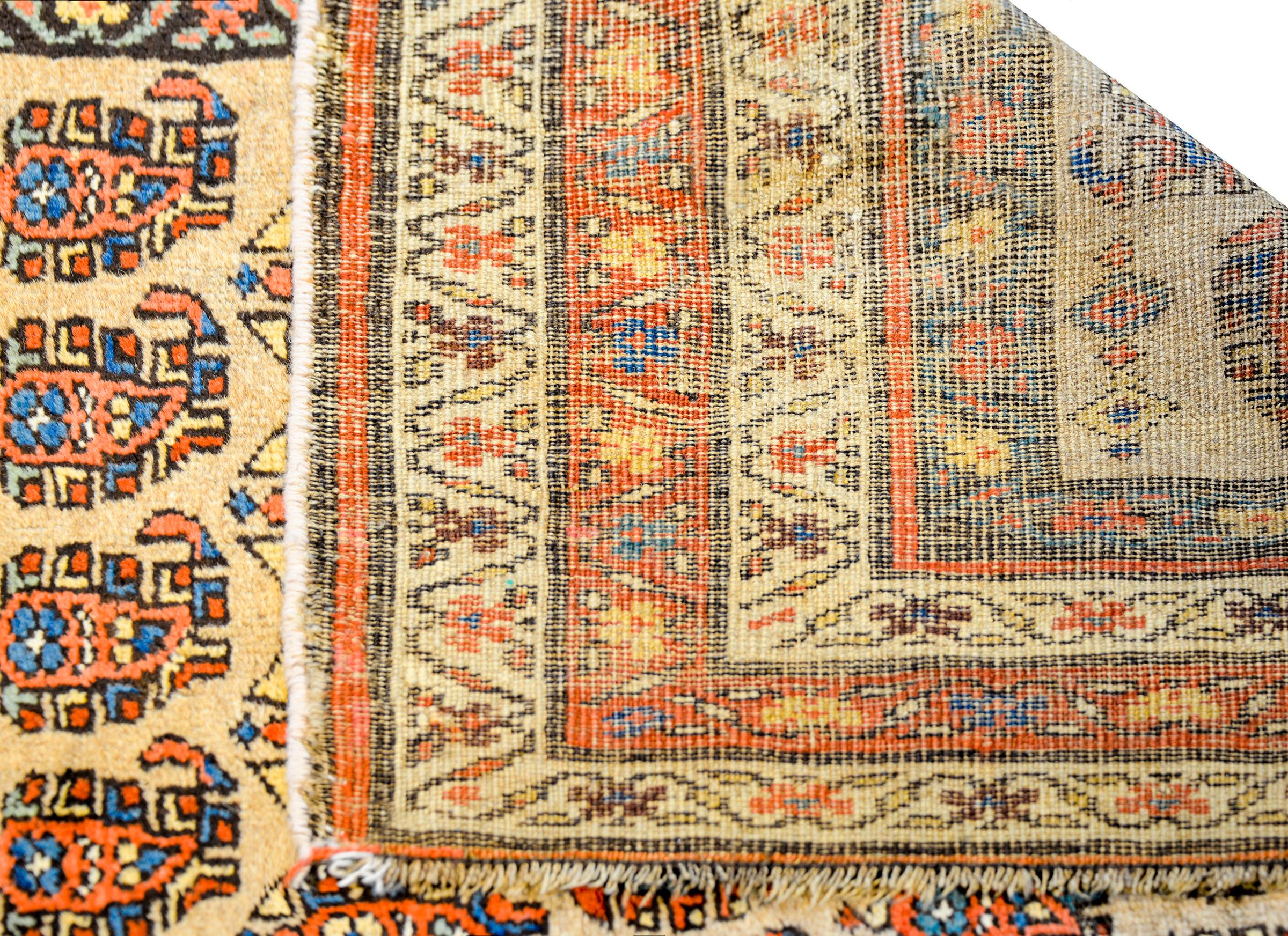 Gorgeous Early 20th Century Bidjar Rug In Good Condition For Sale In Chicago, IL