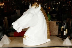 Gorgeous Horse Head