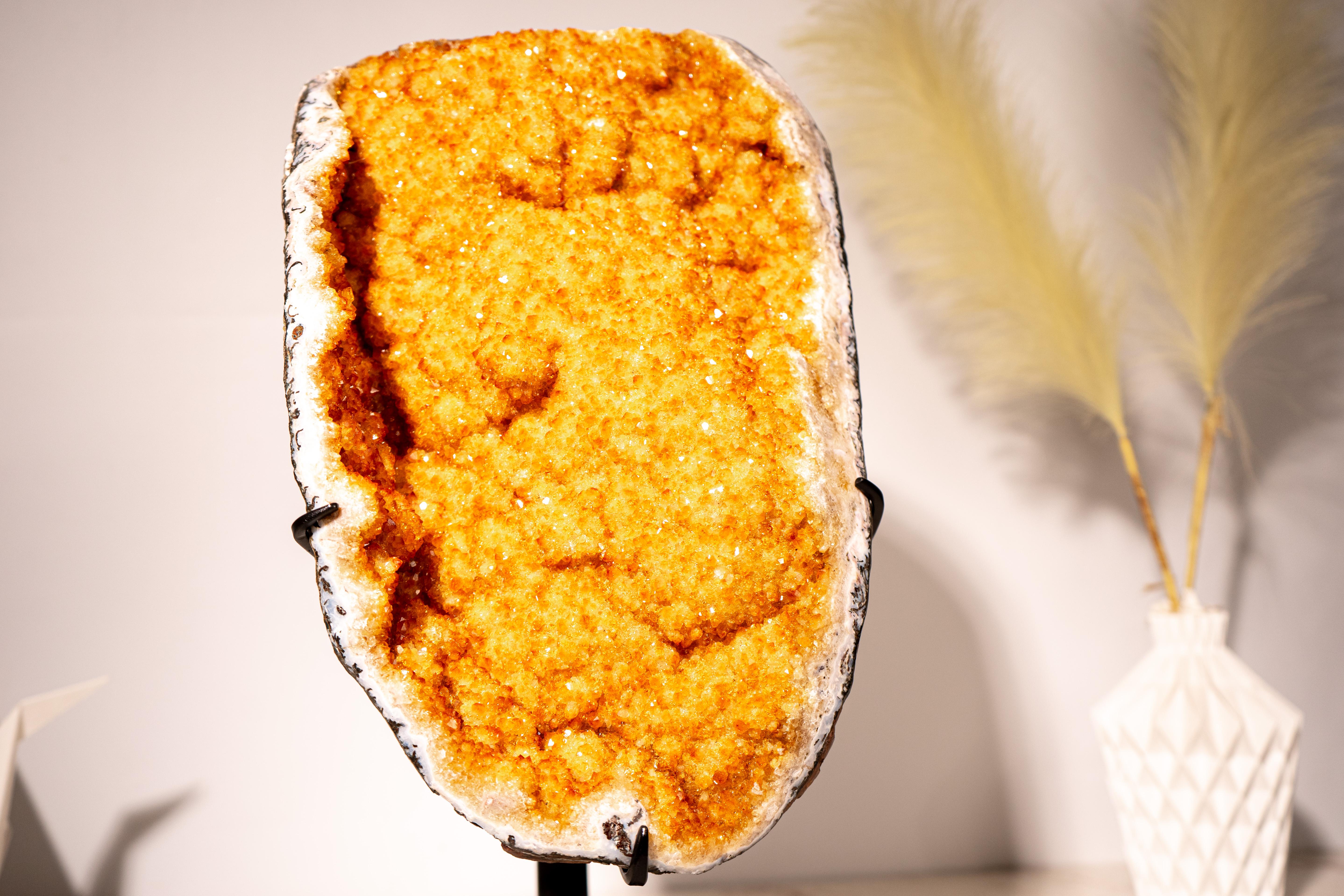 Un raro ejemplar con un vibrante citrino amarillo dorado, una drusa brillante y unas intrincadas rosetas florales.

▫️ Descripción ▫️

Un racimo de citrino que exhibe la mejor estética, con características poco comunes como su precioso tono amarillo