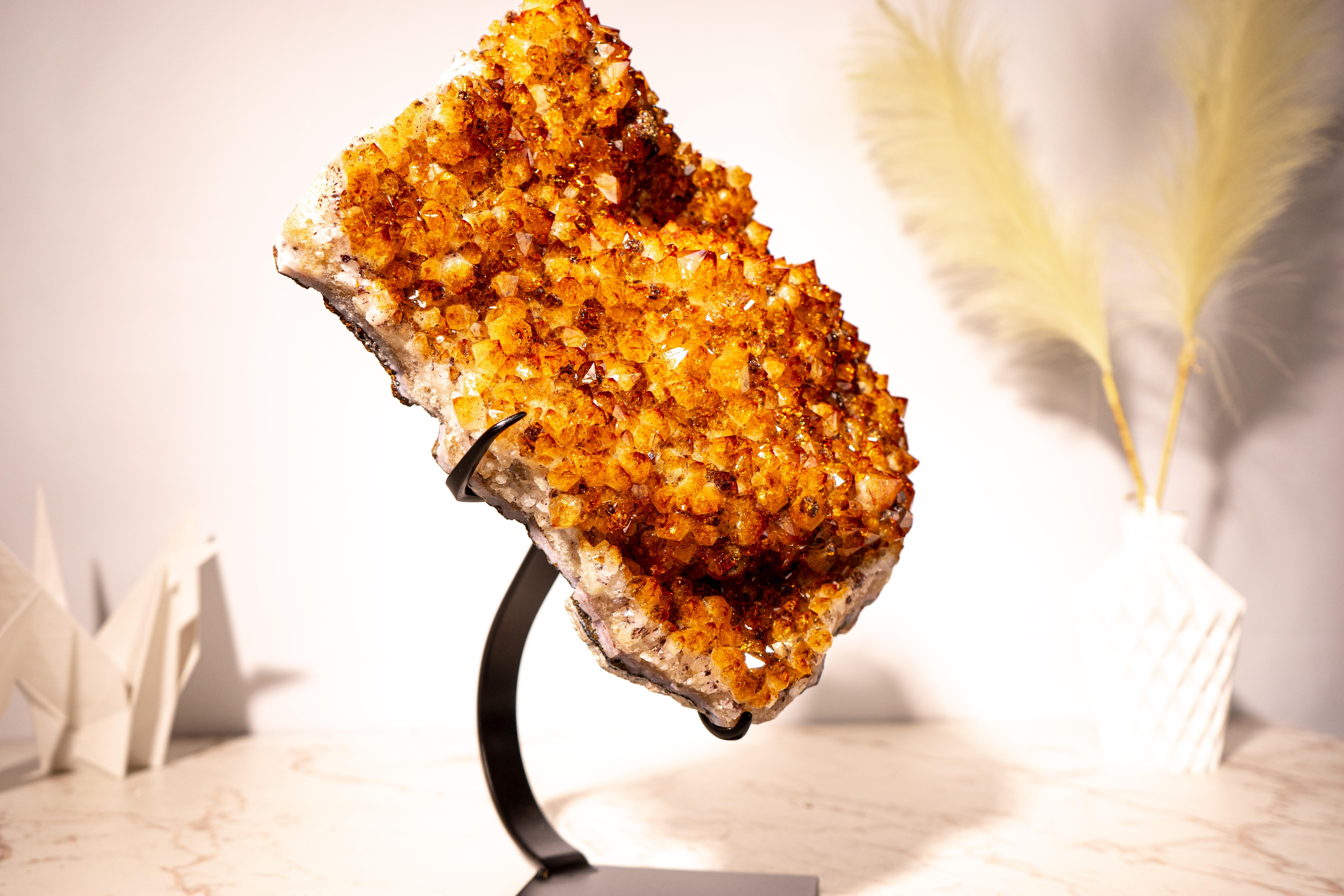 A Rare Citrine Cluster with Golden Orange, Sparkly points for Display & Vibrant Energy Flow

▫️ Description

A natural masterpiece, this large cluster of Madeira Orange Citrine showcases aesthetics and a beautifully sparkly citrine druzy filled with
