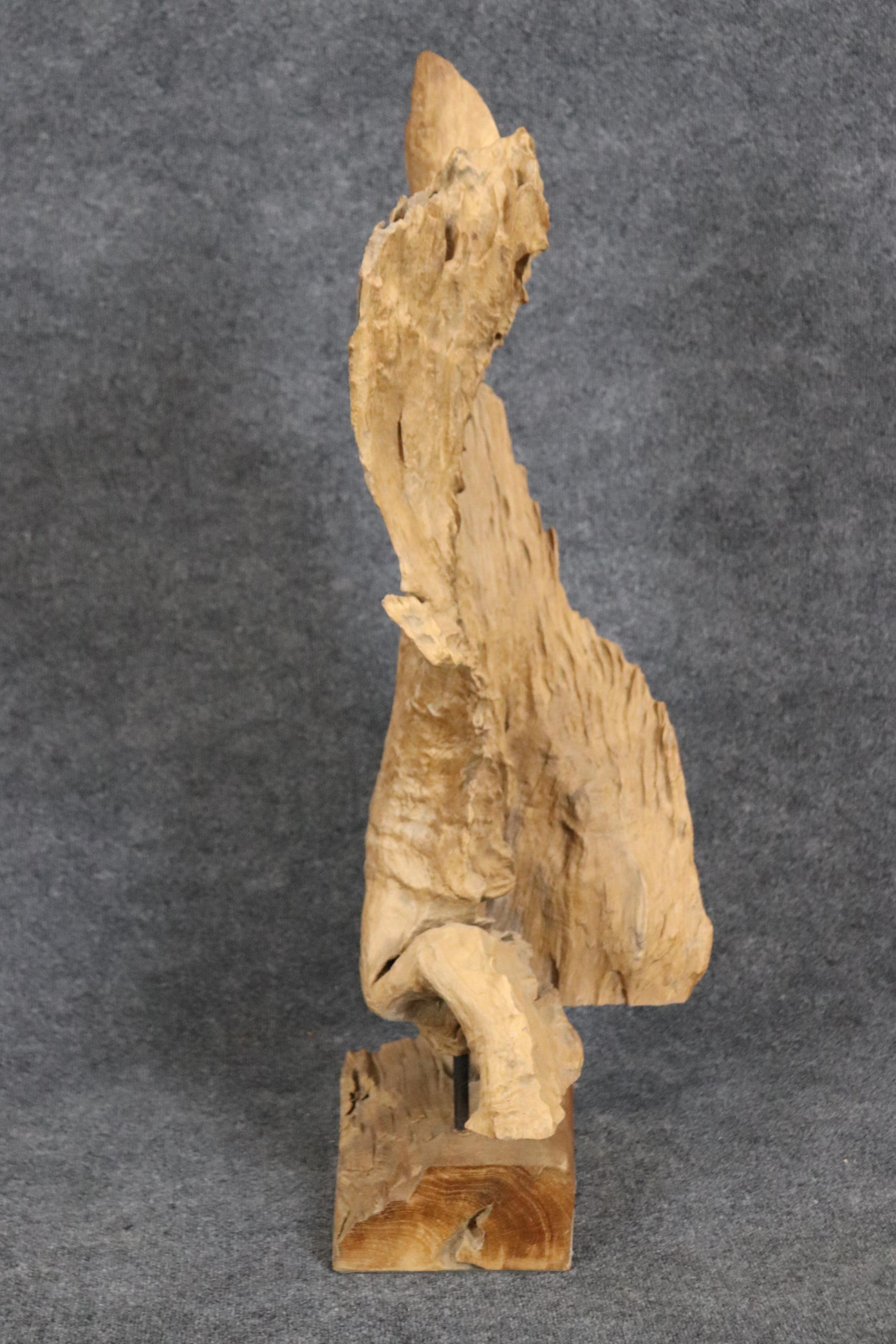 This is a gorgeous natural specimen of driftwood professionally turned into a modern sculpture. This is a large and very decorative piece of natural driftwood and will look great on a desk or on en etagere or bookshelf. Measures 41.5 tall x 18.75