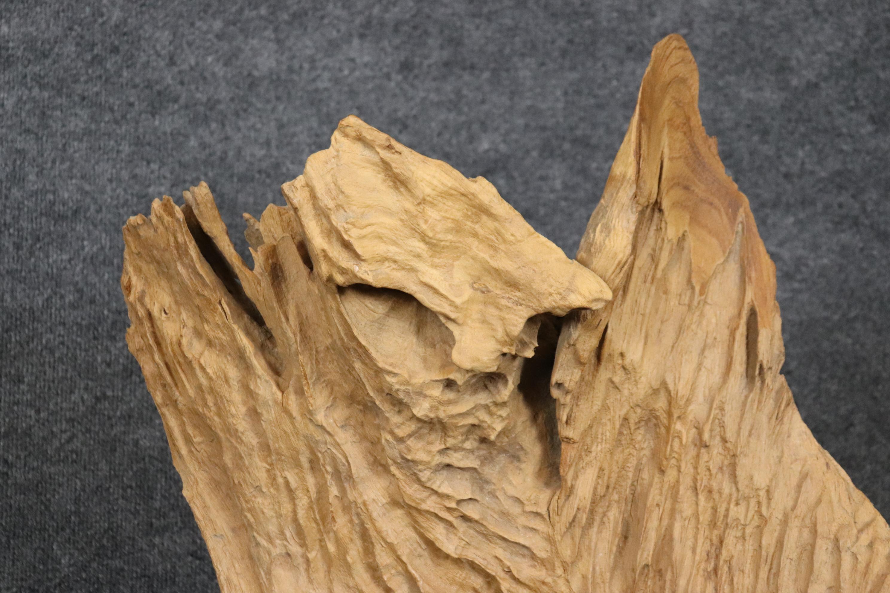 Unknown Gorgeous Mid Century Modern Natural Driftwood Mounted Specimen Sculpture For Sale