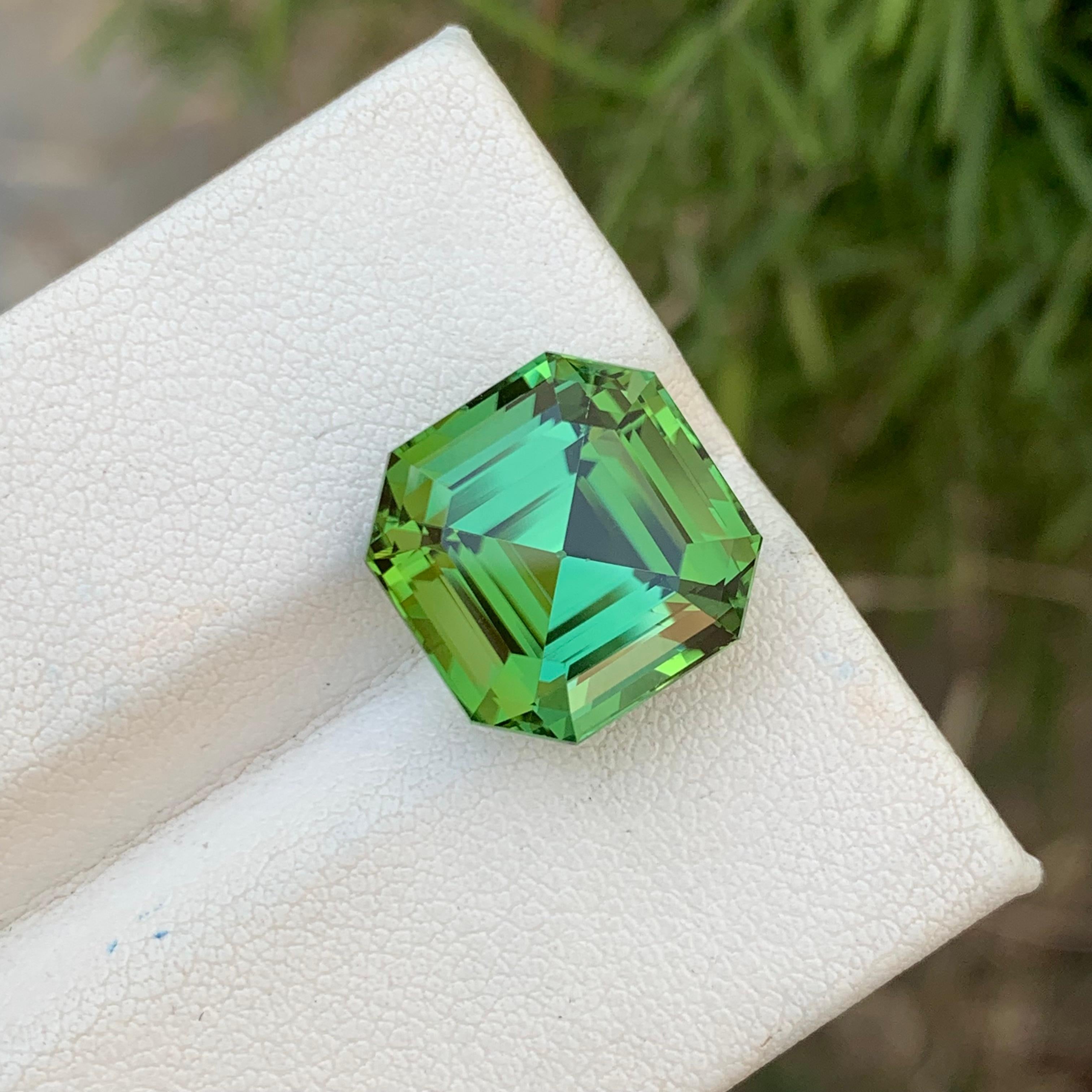 Gorgeous Mint Green Loose Tourmaline Ring Gem 12.35 Carats Asscher Cut Gemstone For Sale 5
