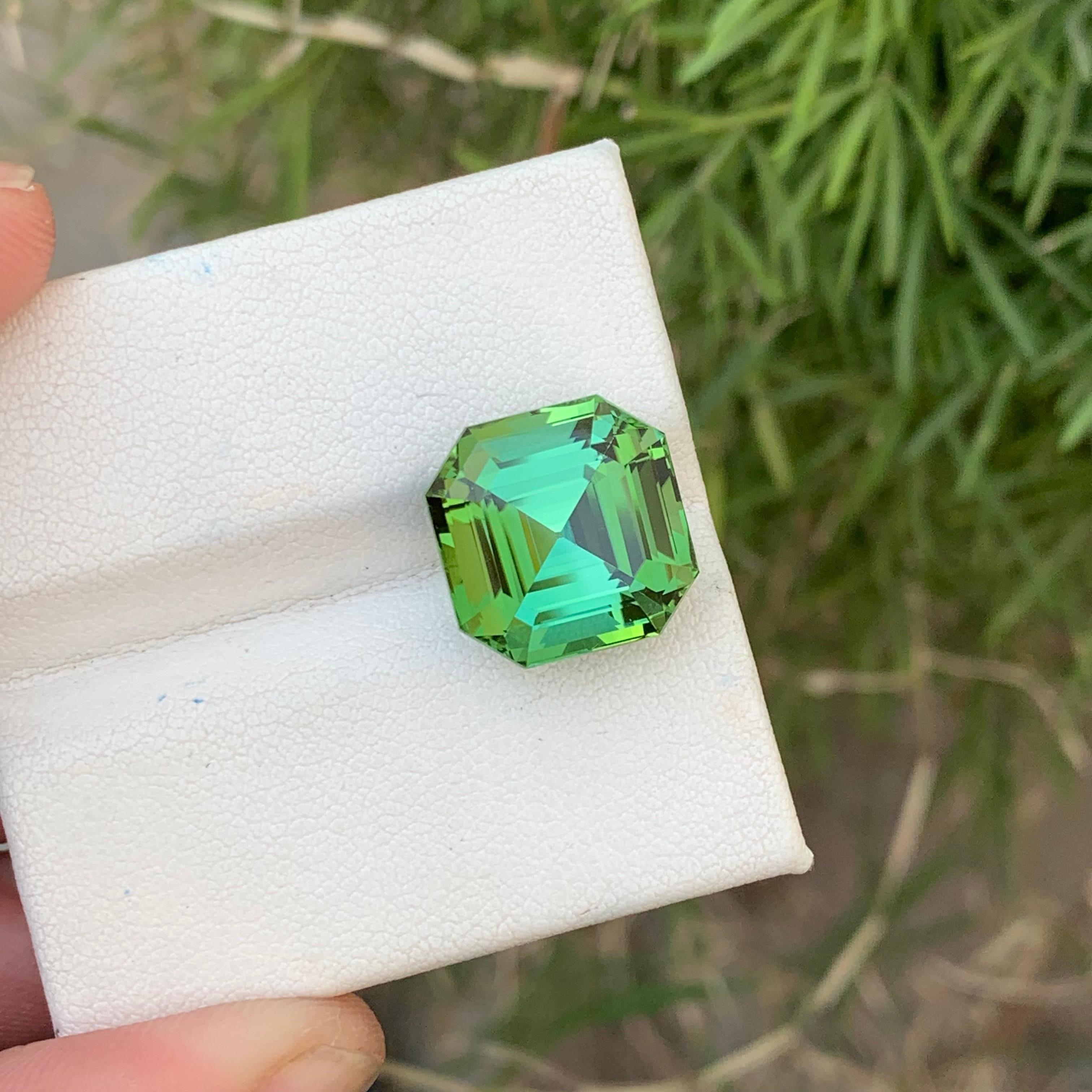 Gorgeous Mint Green Loose Tourmaline Ring Gem 12.35 Carats Asscher Cut Gemstone For Sale 1