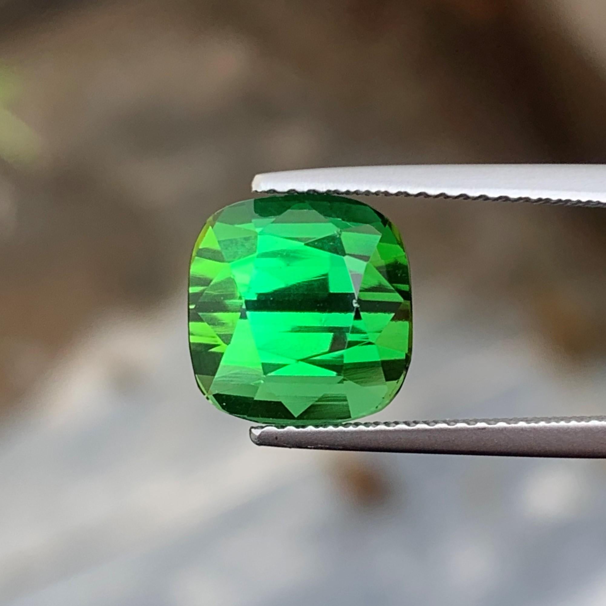 Gemstone Type : Tourmaline
Weight : 5.95 Carats
Dimensions : 9.6x9.9x8.2 Mm
Origin : Kunar Afghanistan
Clarity : Eye Clean
Shape: Cushion
Color: Mintgreen
Certificate: On Demand
Basically, mint tourmalines are tourmalines with pastel hues of light