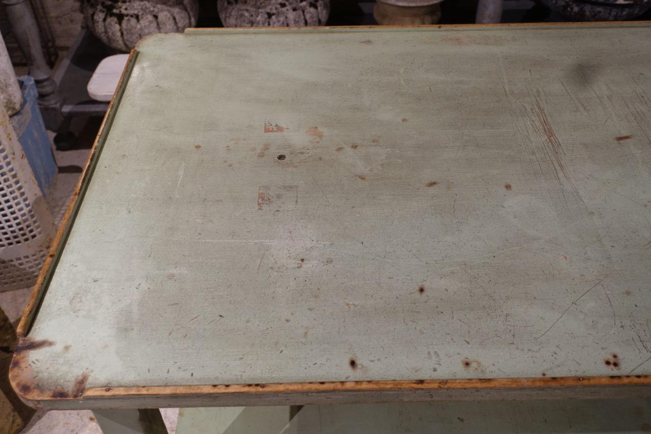 Wood Gorgeous Mint Green Vintage French Long Planting Table