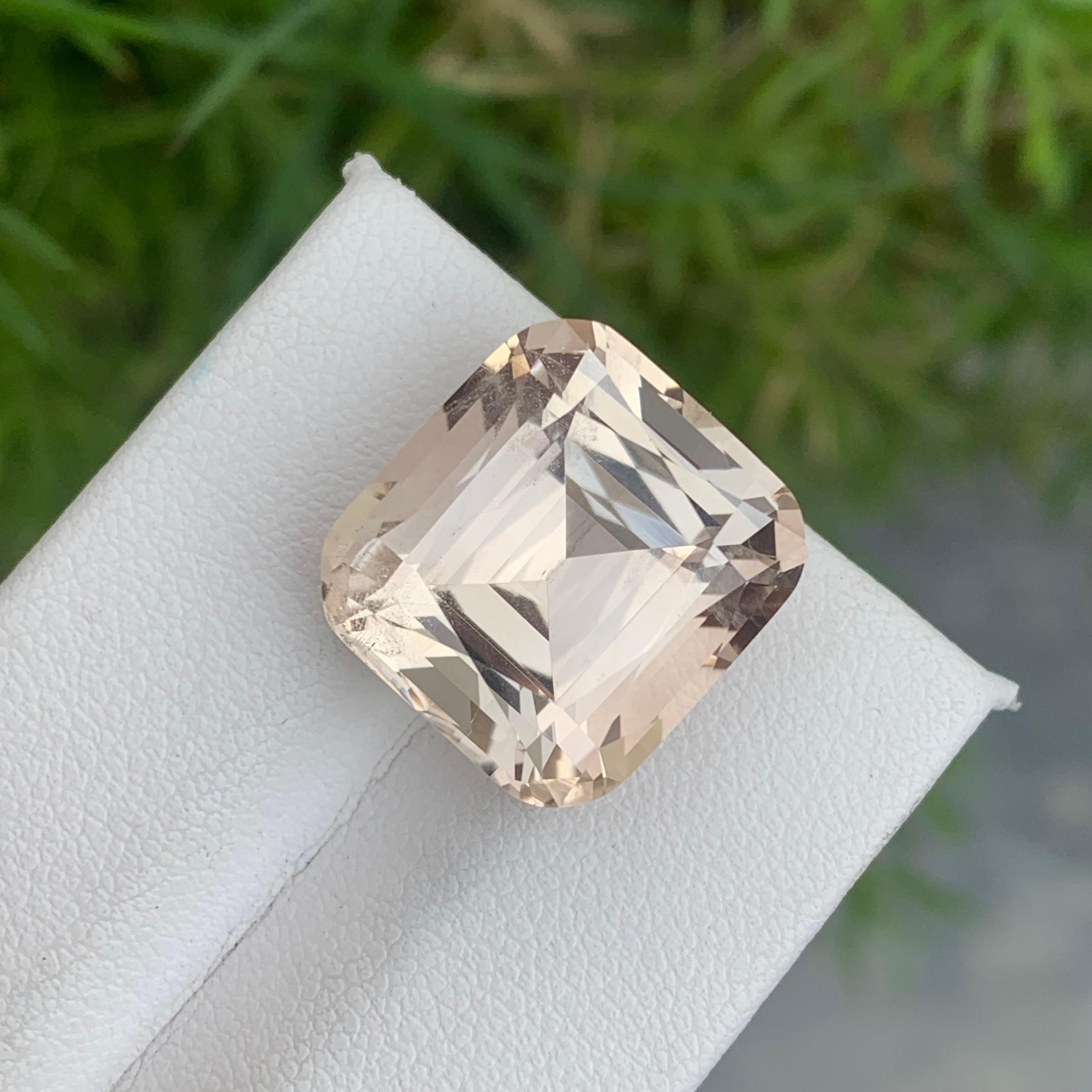Wunderschöner natürlicher 21,45 Karat loser Topas aus Skardu Pakistan für Schmuckherstellung im Angebot 7