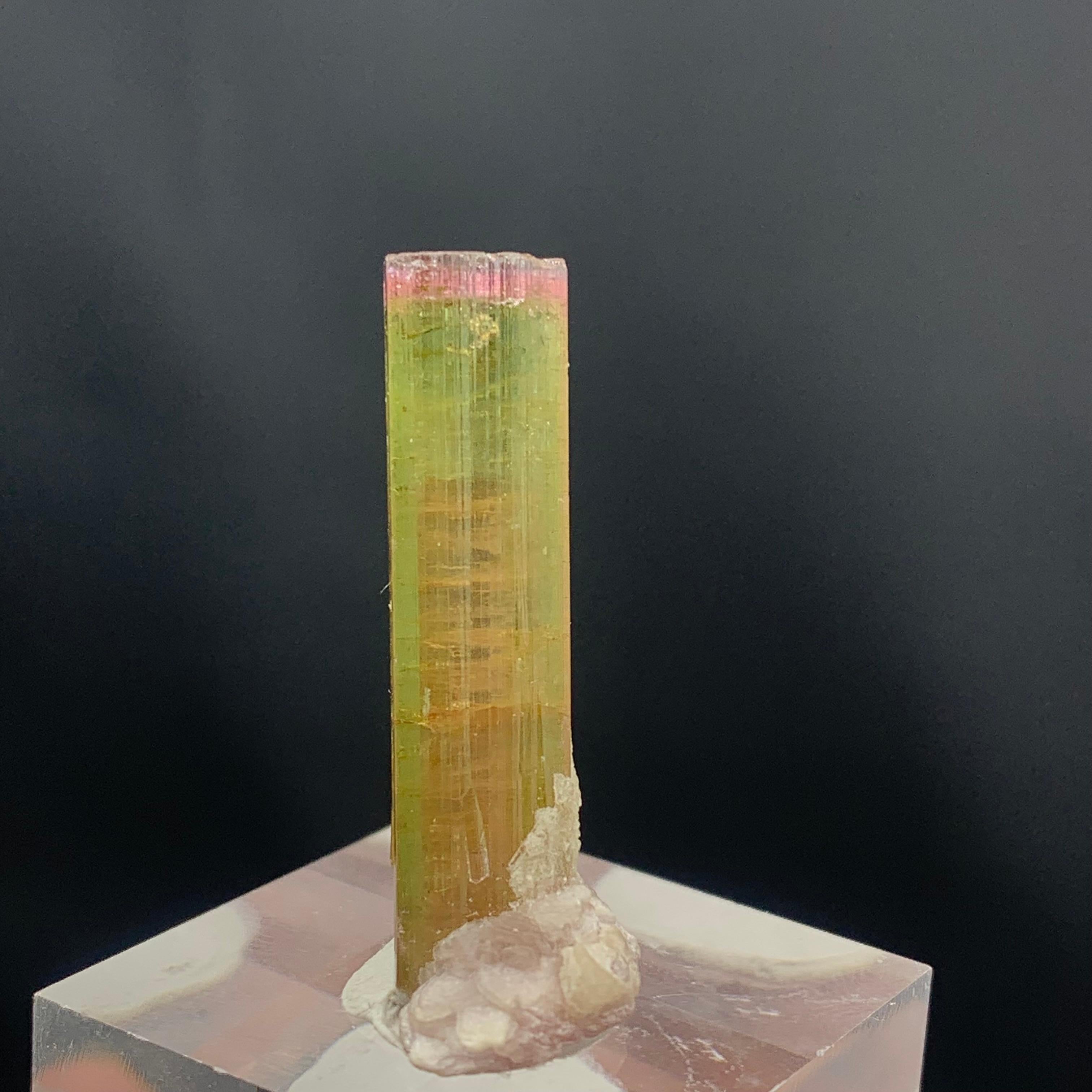 Precioso espécimen de turmalina tricolor natural de 5,25 gramos con mica en venta 3