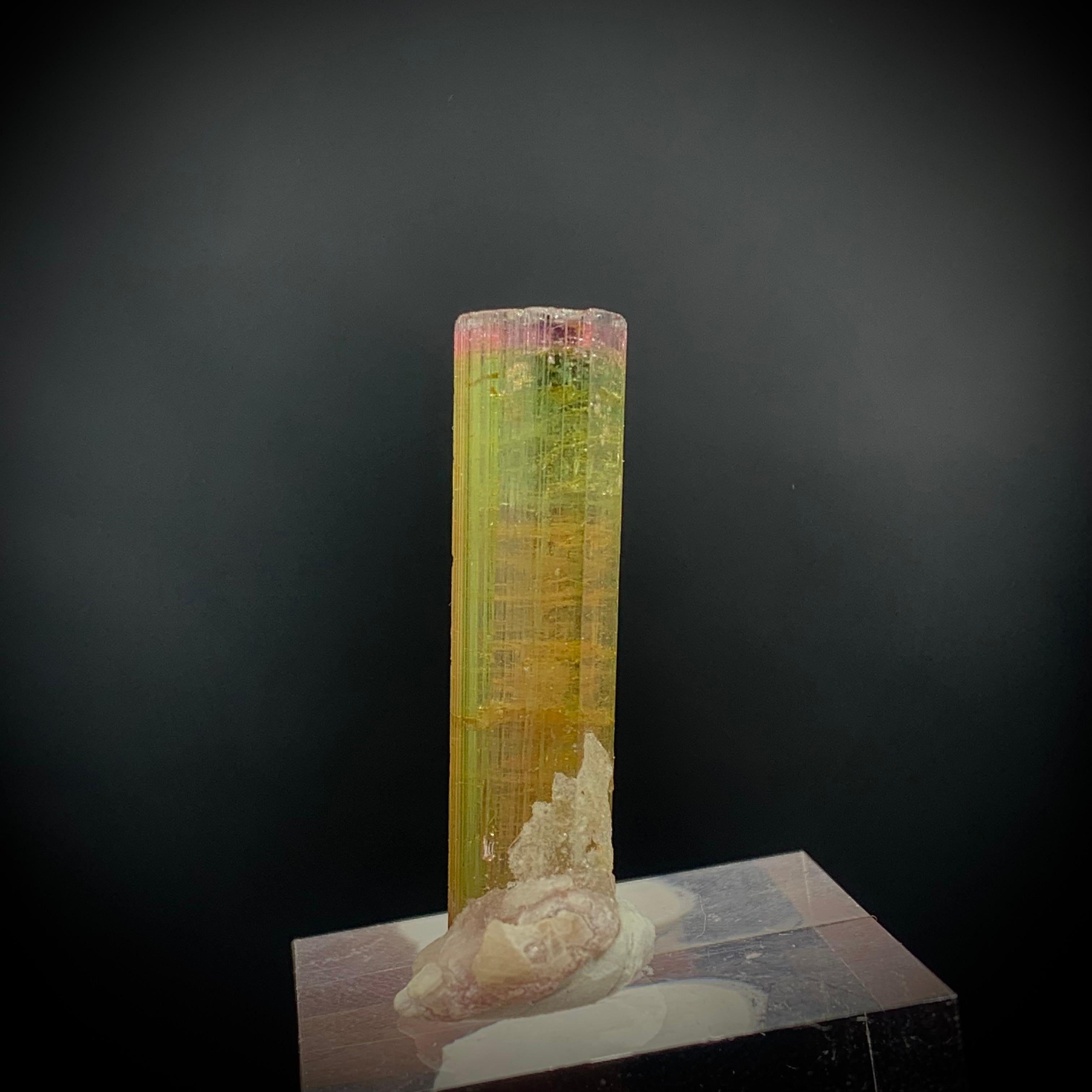 Gorgeous Natural Tri Color Tourmaline Specimen with Mica 
WEIGHT: 5.25 grams
DIMENSIONS : 3.4 x 1.2 x 10 Cm
ORIGIN: Afghanistan
TREATMENT: None
Tourmaline is an extremely popular gemstone; the name Tourmaline is derived from Turamali, which is