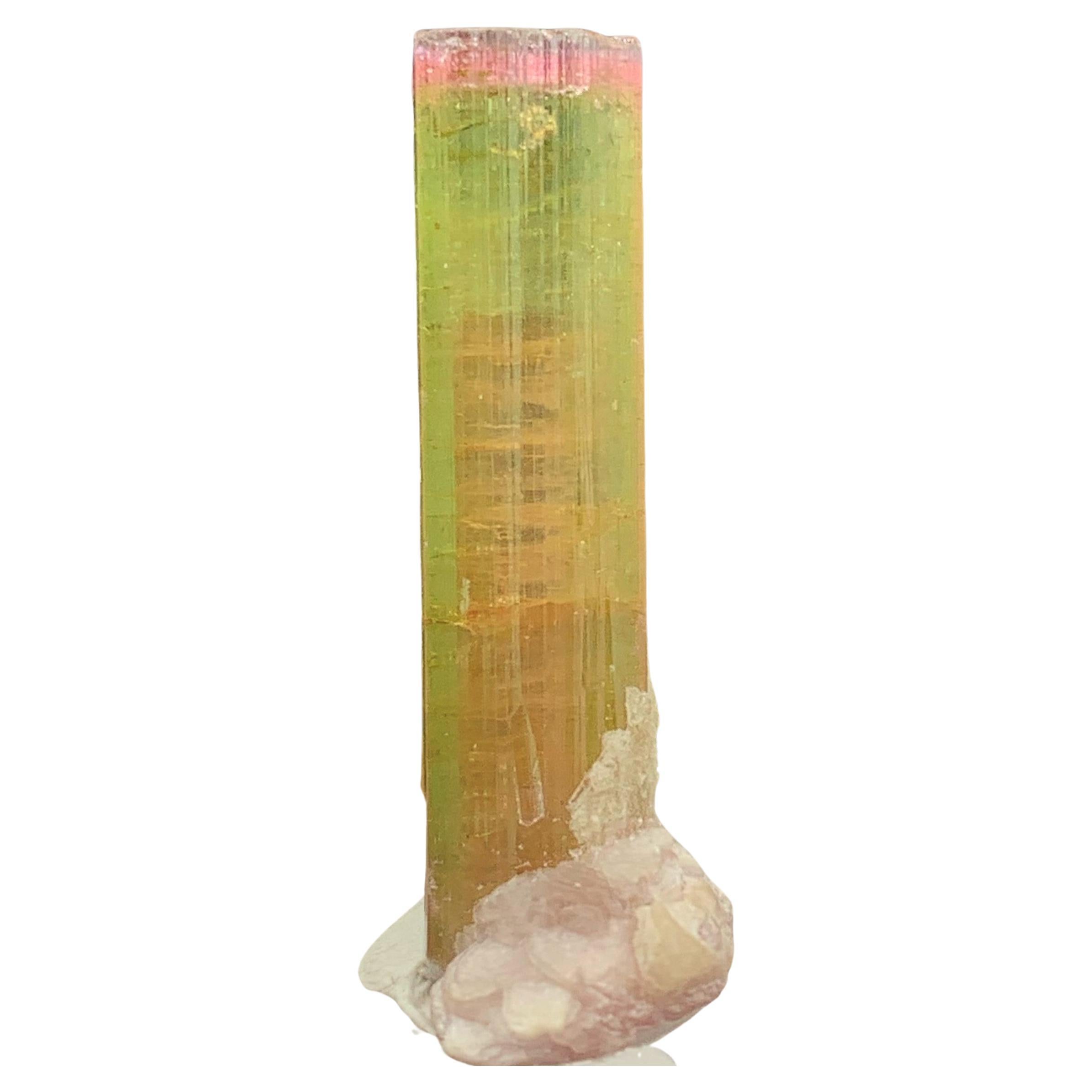Wunderschönes natürliches 5,25 Gramm schweres dreifarbiges Turmalin-Exemplar mit Mica