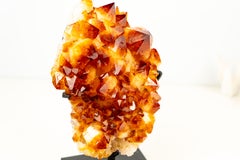 Magnifique grappe de citrine naturelle avec druzy de citrine orange madère AAA, grande
