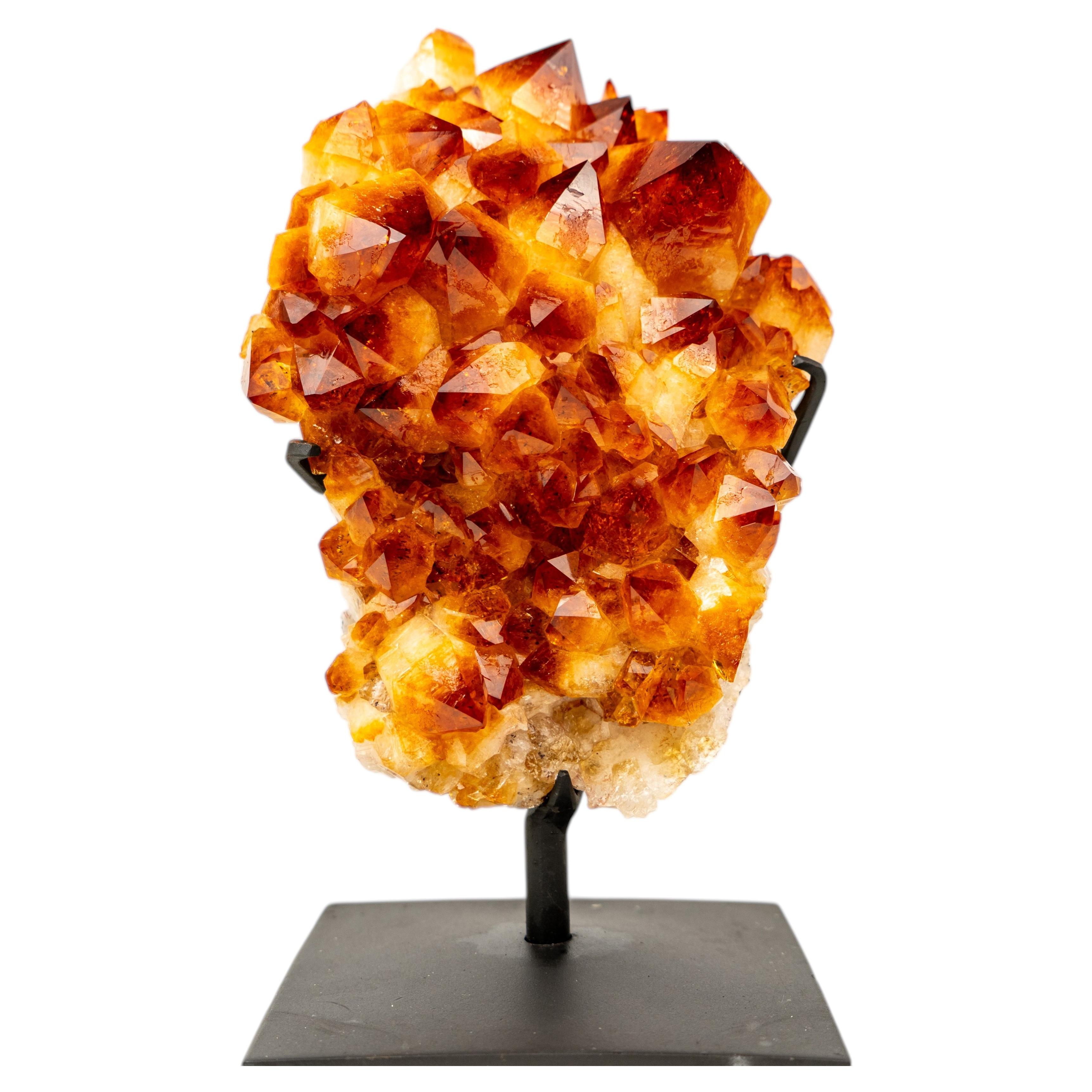 Gorgeous Natural Citrine Cluster with AAA, Large Madeira Orange Citrine Druzy