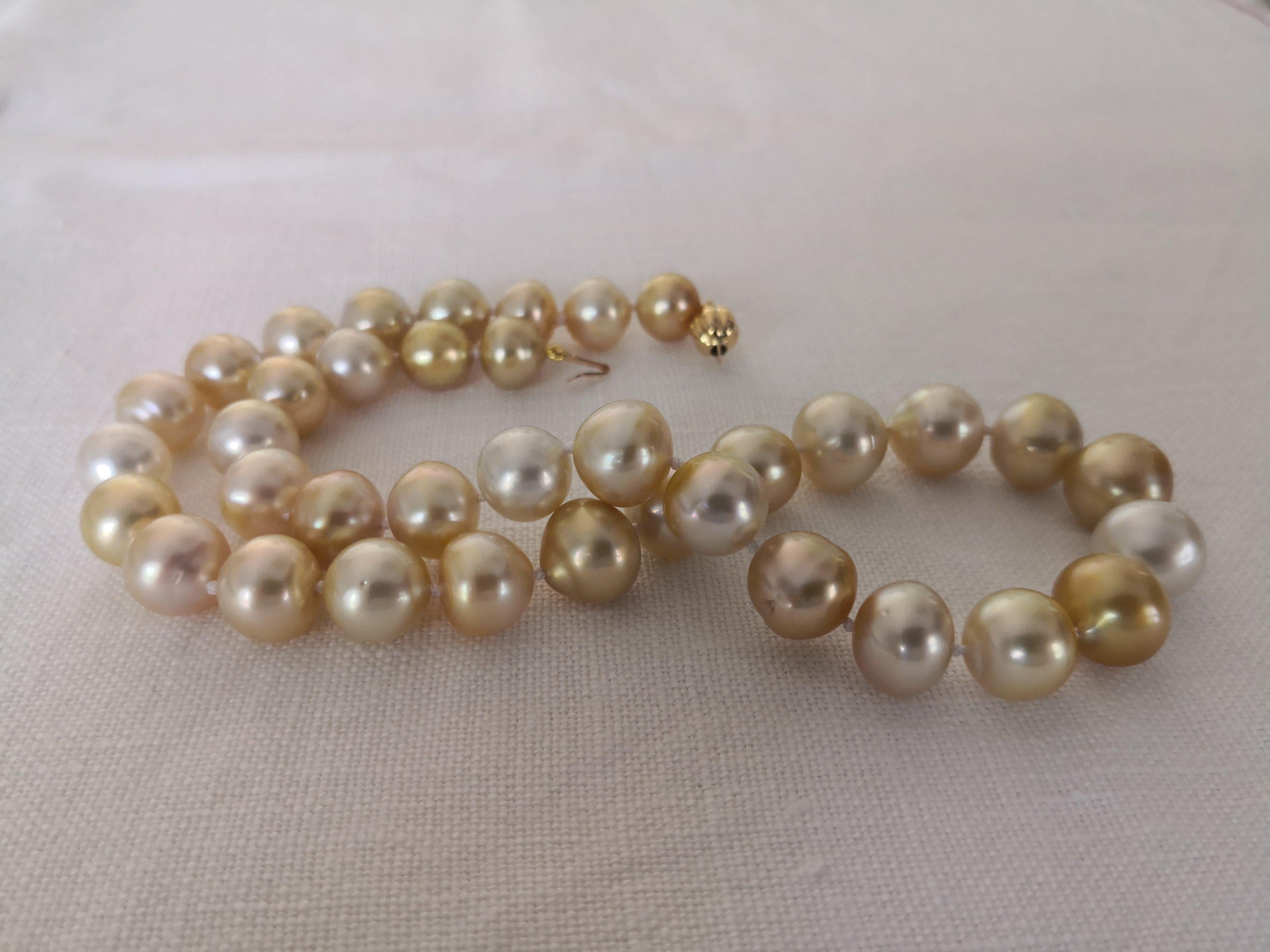A Natural Color South Sea Pearls necklace

- Size of Pearls 10-13  mm of diameter

- Pearls from Pinctada Maxima Oyster

- Origin: Indonesia ocean waters

-  Natural Colors Golden  pearls

-  High Natural luster and Orient

-  Pearls of semi-round