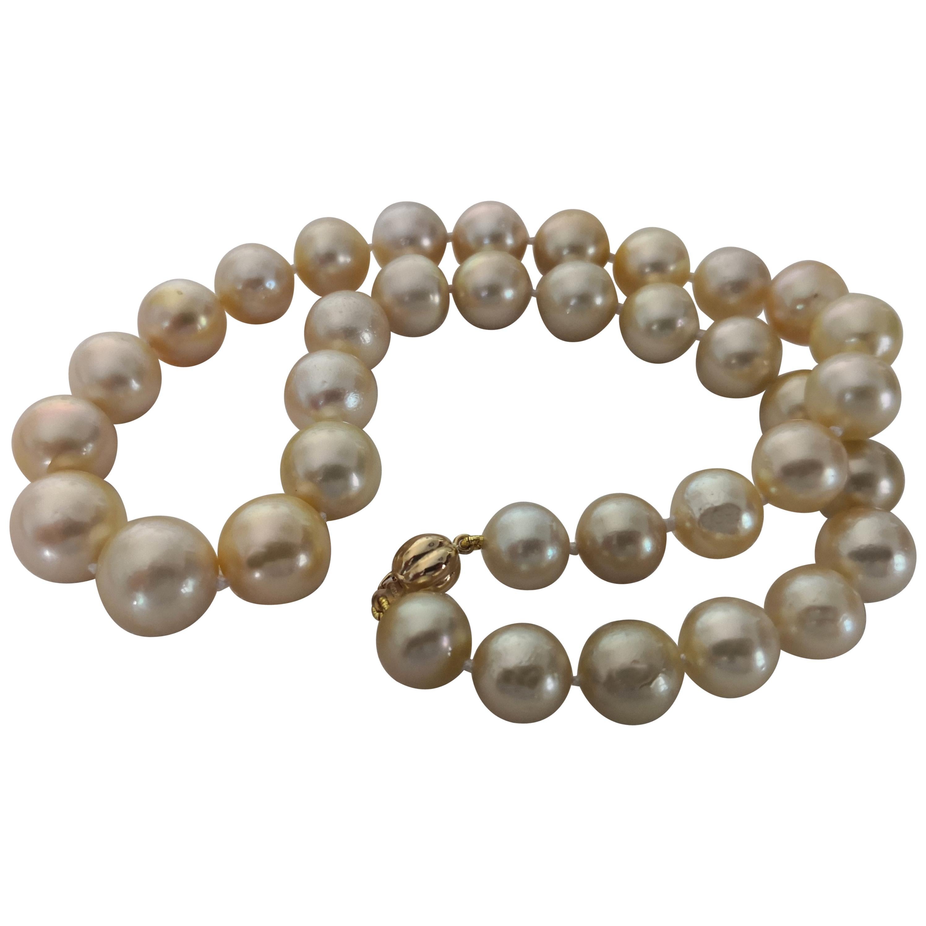 Gorgeous Natural Color South Sea Pearls Necklace with High Luster and Orient For Sale
