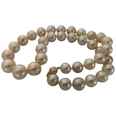 Gorgeous Natural Color South Sea Pearls Necklace with High Luster and Orient