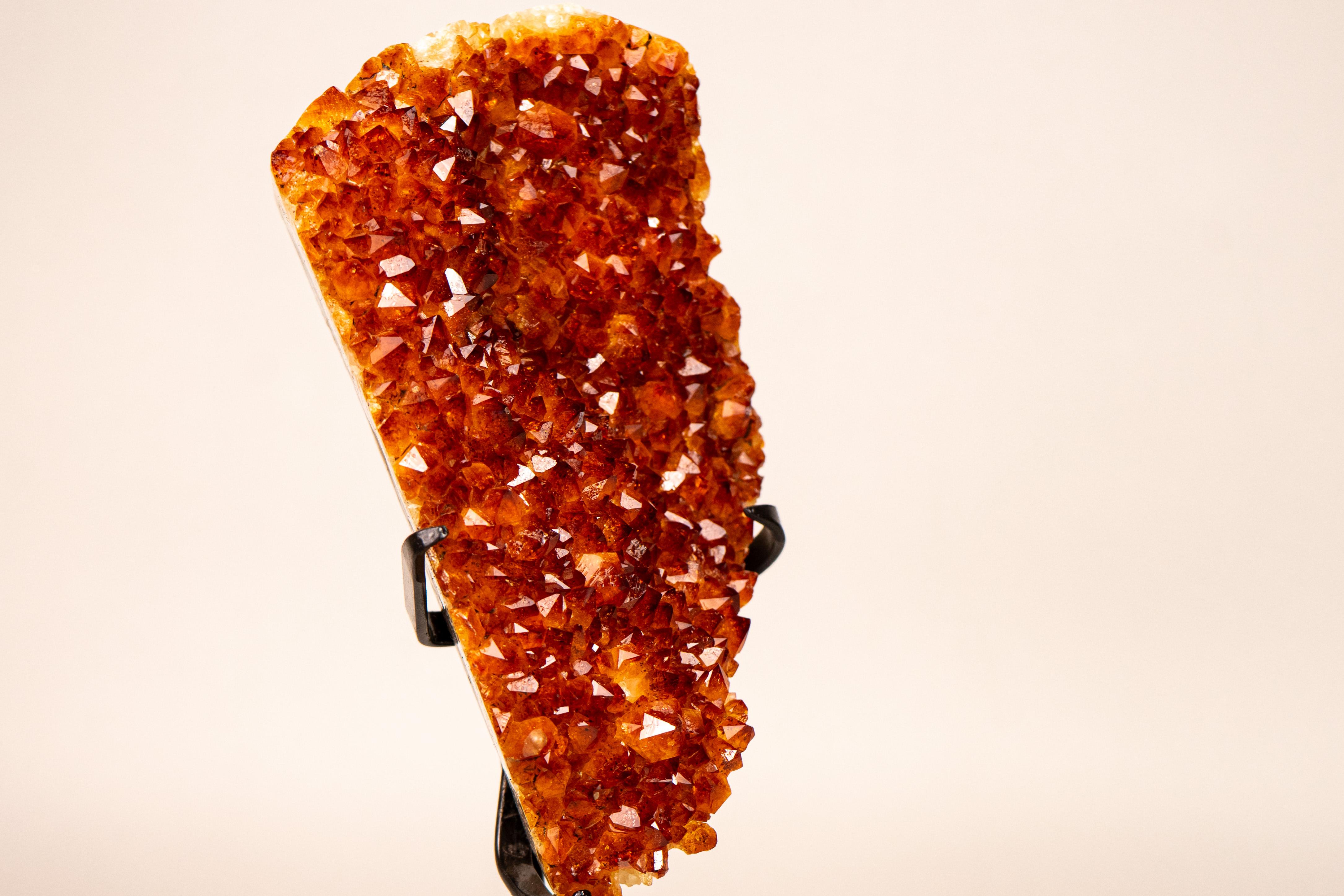 Gorgeous Rare Natural Orange Madeira Citrine Cluster with AAA-Grade, Sparkly Citrine Druzy 

▫️ Description

A cherry-picked Madeira Citrine cluster, chosen for its exceptional quality, fabulous aesthetics and rarity. This remarkable piece can serve