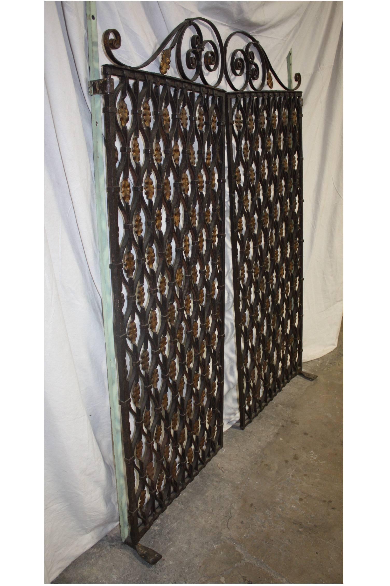 French Provincial Gorgeous Pair of 18th Century French Iron Gates For Sale