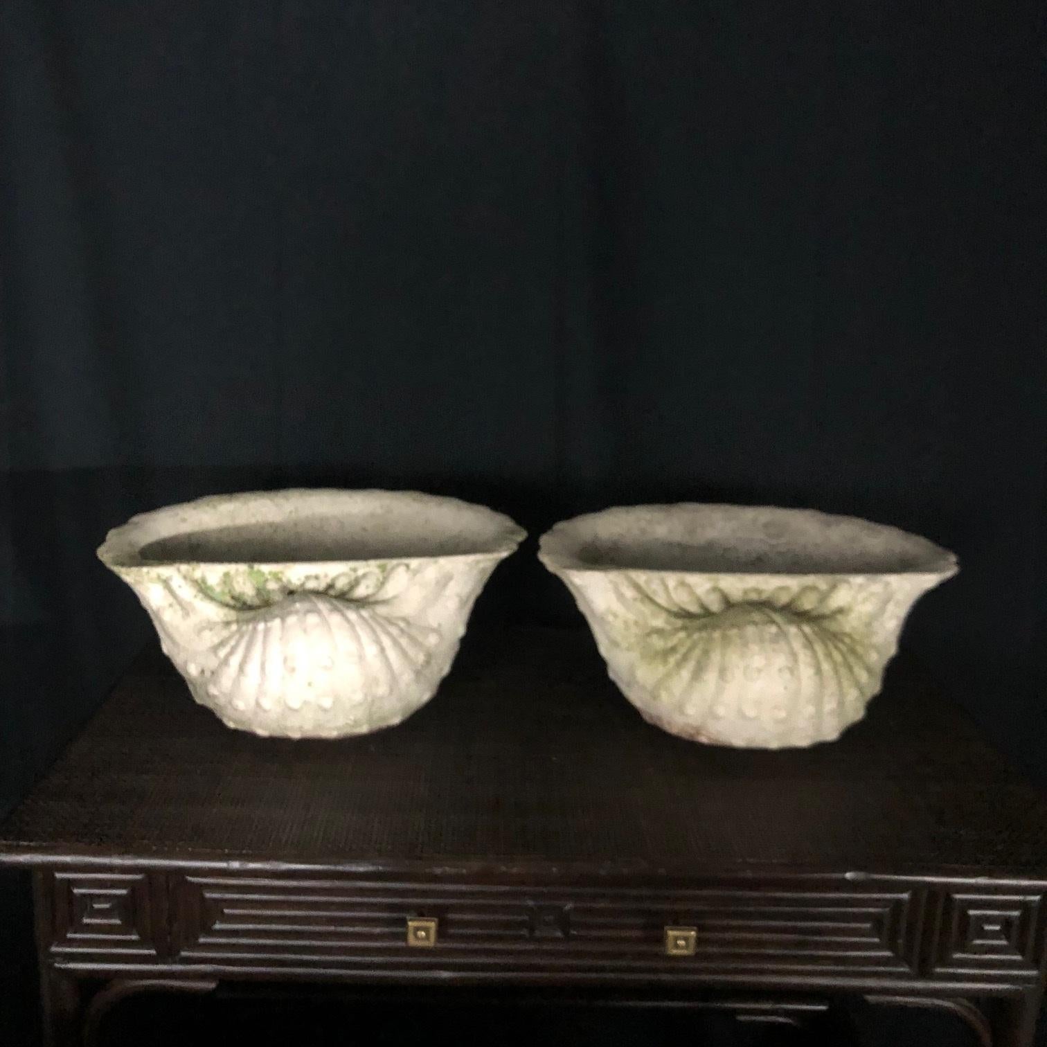 Neoclassical Gorgeous Pair of 1930s Sea Shell Garden Planters