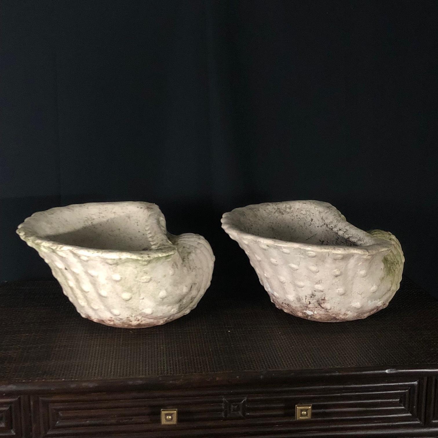 North American Gorgeous Pair of 1930s Sea Shell Garden Planters