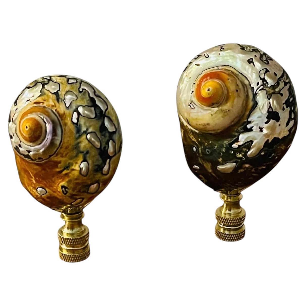Gorgeous Pair of Turbo Shells Lamp Finials