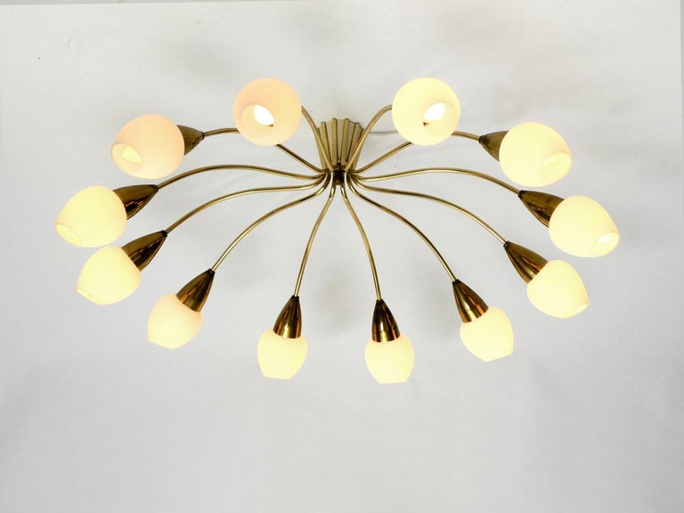 Gorgeous Rare 12 Armed Extra Large Midcentury Brass Chandelier