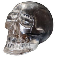 Gorgeous Real Crystal Skull in Natural Crystal-Clear Diamantina Quartz