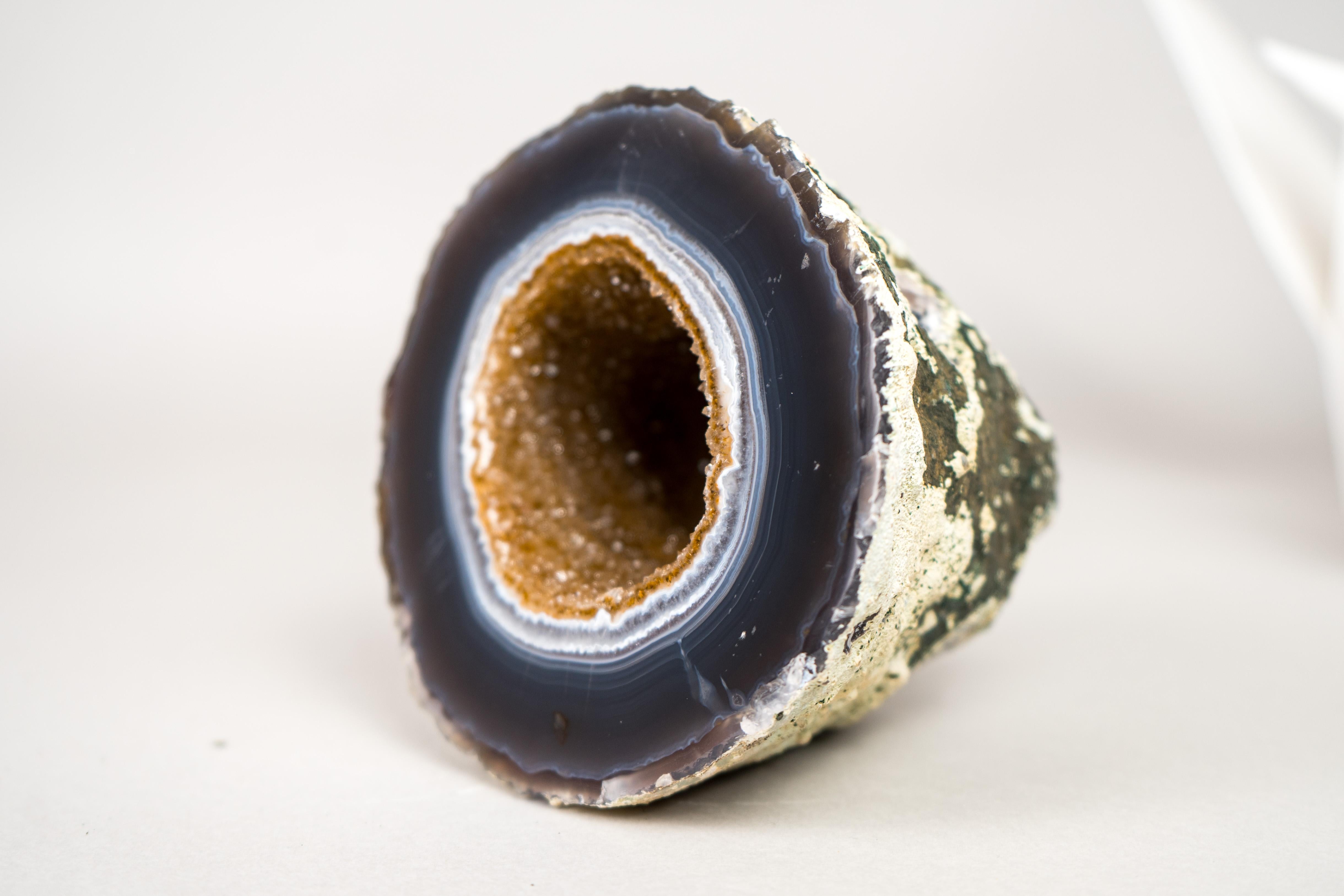 XXIe siècle et contemporain Magnifique petite géode d'agate bleue et blanche avec druzy galaxie dorée en vente