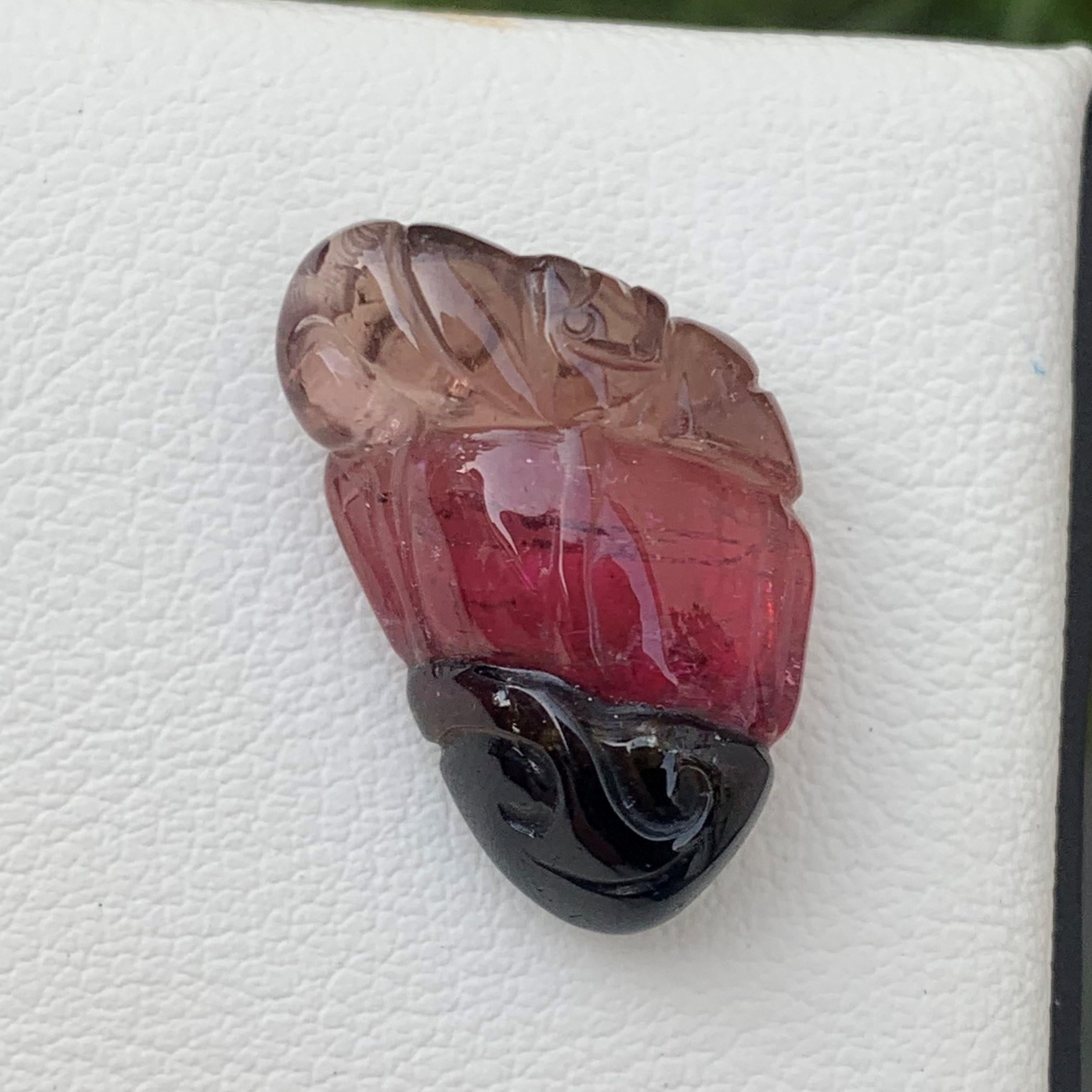 Tourmaline Carved
Weight: 22.25 Carats
Dimension: 24x15x8 Mm
Origin: Africa
Color: Tri ( Black,Red,Peach)
Shape: Carving
Quality: Top
.
Bicolor tourmaline is connected to the heart chakra, which makes it good for cleansing and removing any