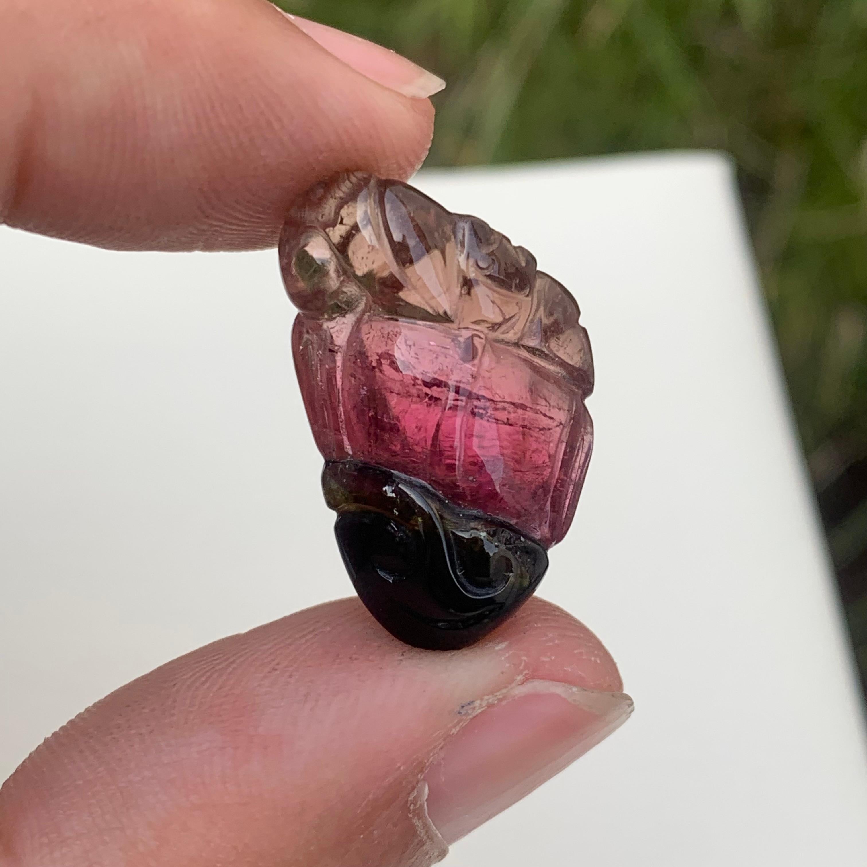 Taille cœur Magnifique tourmaline sculptée tricolore pour collier et bijouterie de 22,25 carats en vente
