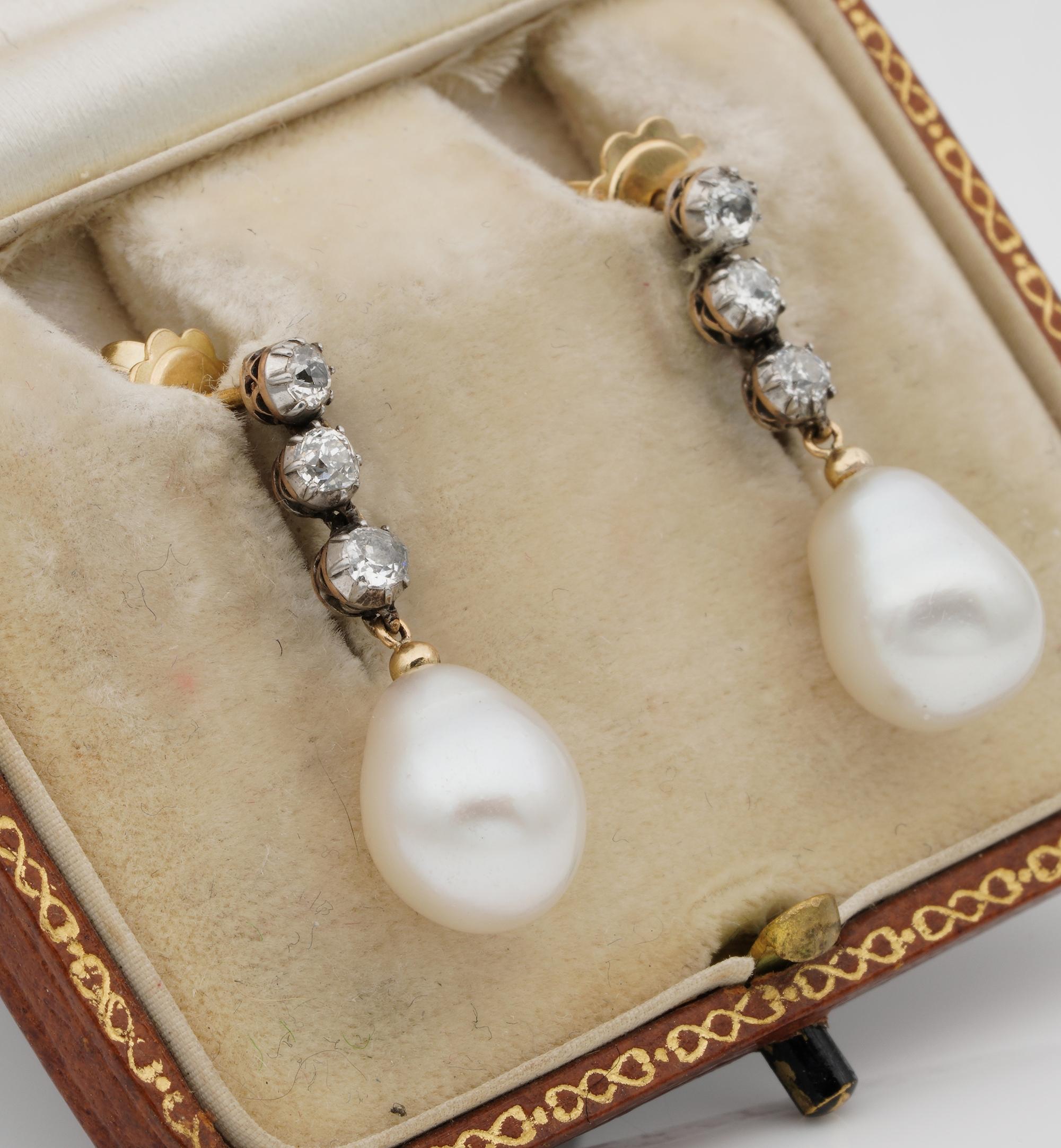 Exquisite Shimmer

Lovely find from the Victorian period made of solid 18 Kt gold topped by silver hanging a large pair of antique cultured pearls of extraordinary lustre
The diamond line comprises three Diamonds on each earring – old mine cut for a