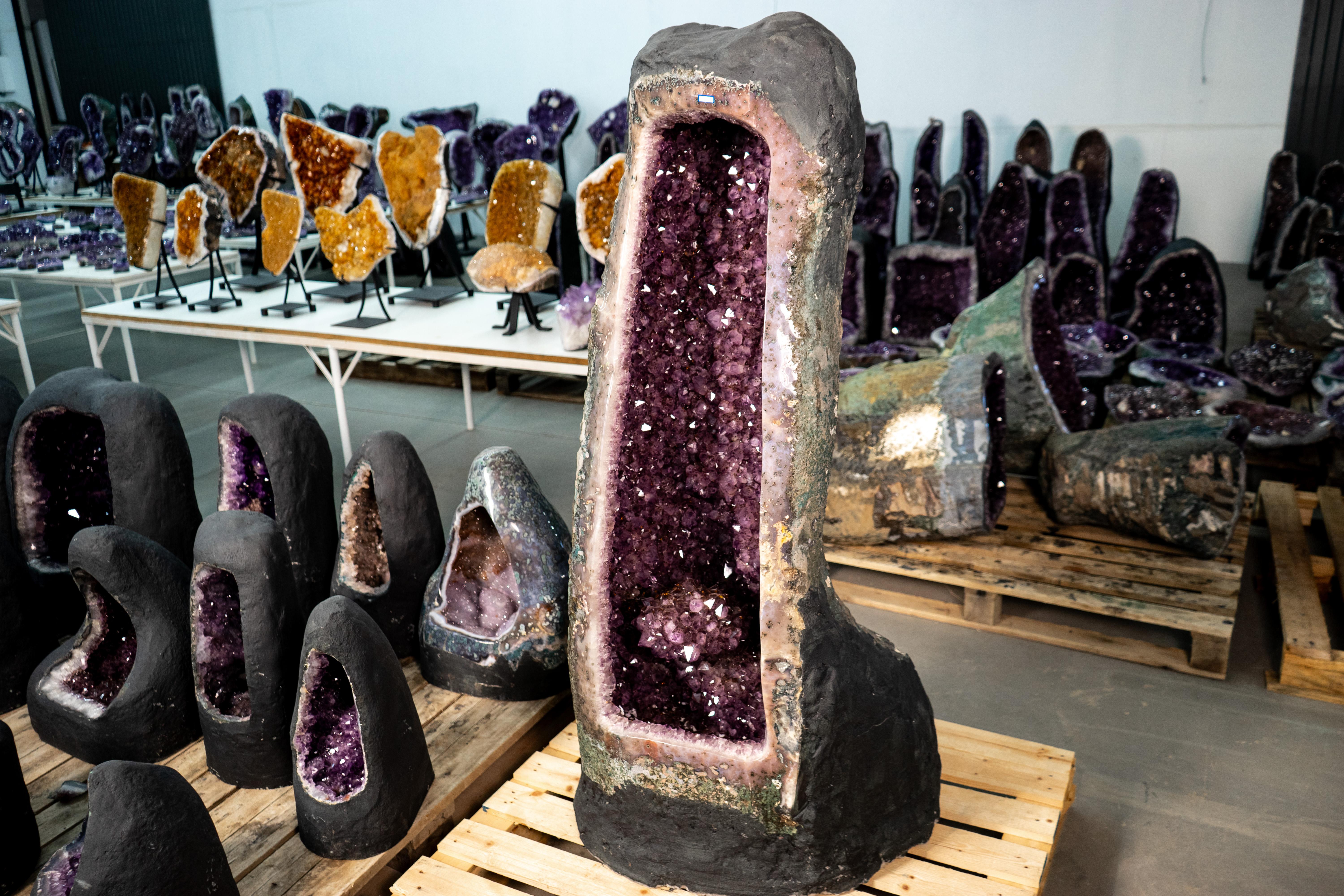 Preciosa Cueva Geoda de Amatista X-Grande, de 1,80 m de Altura, con una Gran Flor Intacta llena de Inclusiones de Rutilo Dorado, y Brillante Drusa de Amatista de Color Púrpura Lavanda

▫️ Descripción

Esta rara geoda de amatista, única en su