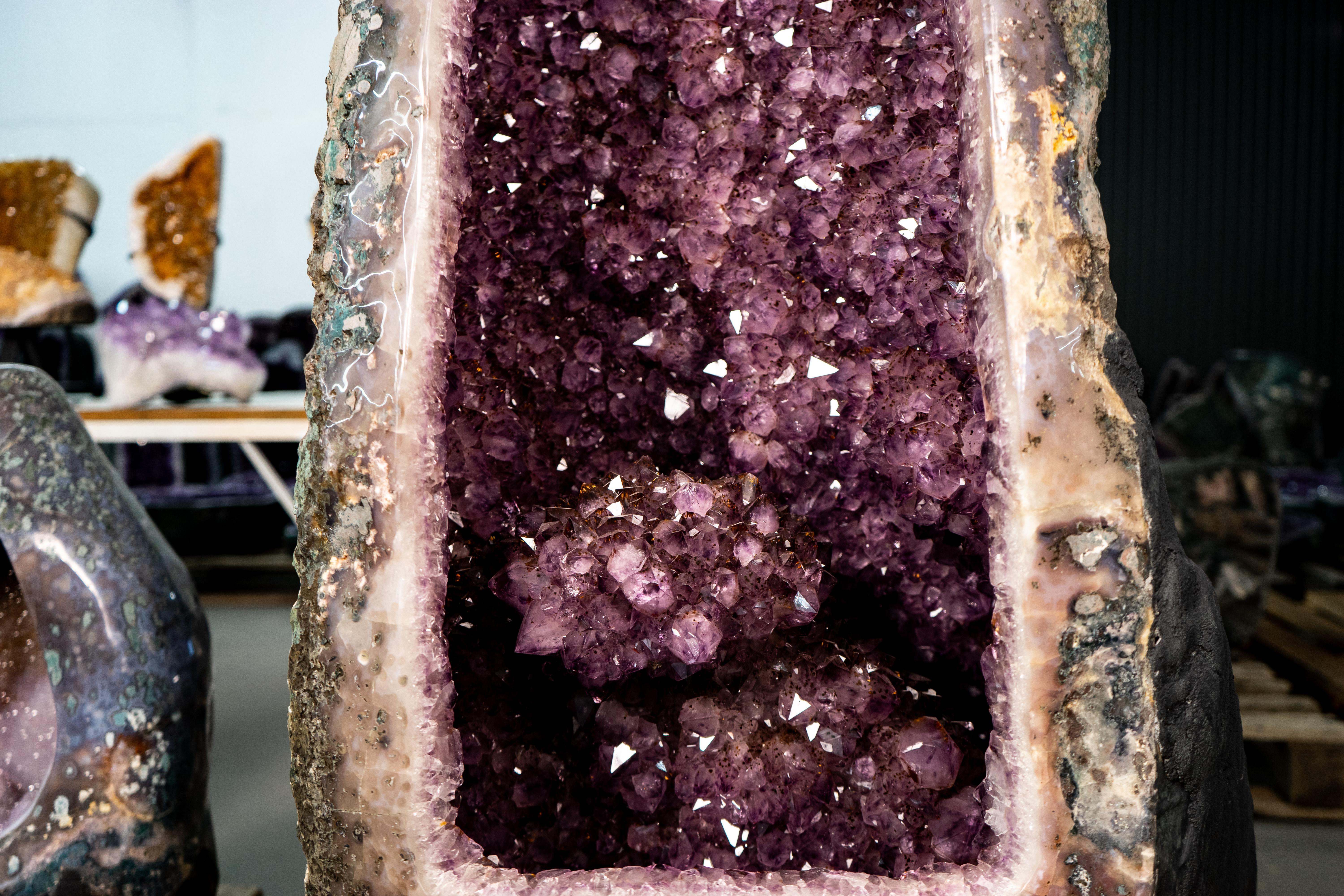Preciosa Geoda de Amatista X-Grande Brasileño en venta