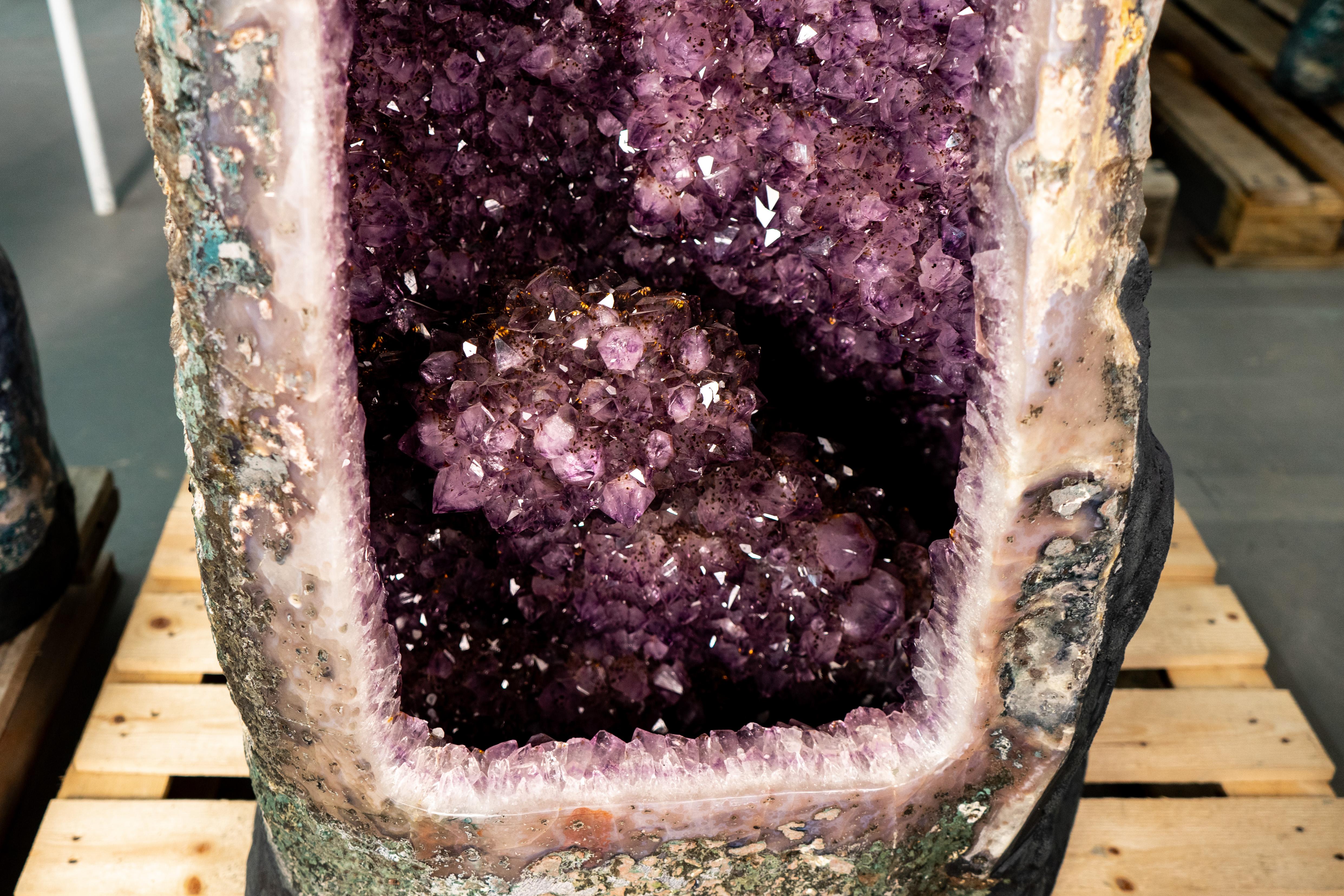 Preciosa Geoda de Amatista X-Grande en venta 1