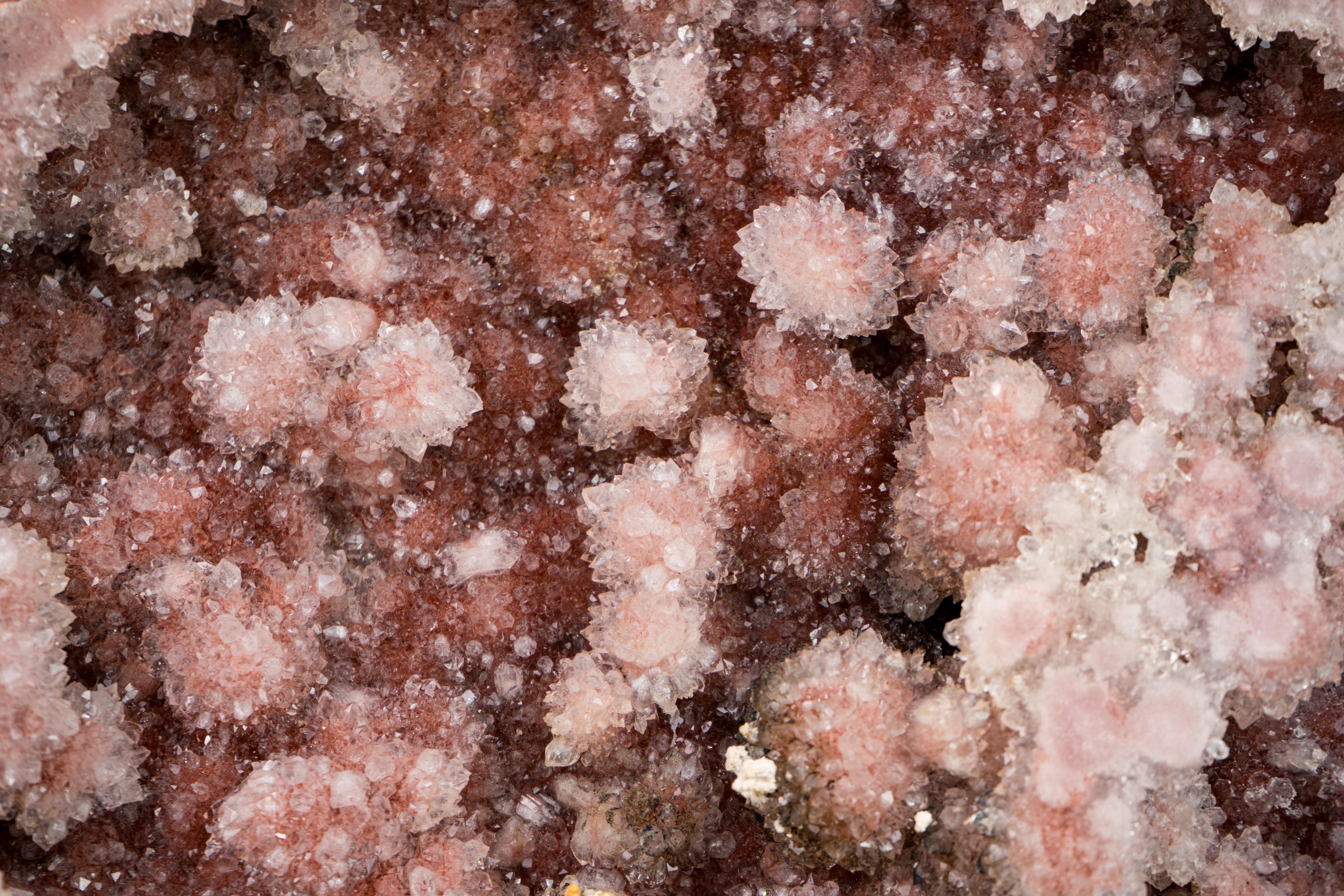 Wunderschöne XL-Galerie-Grad rosa Amethyst Geode (21. Jahrhundert und zeitgenössisch) im Angebot