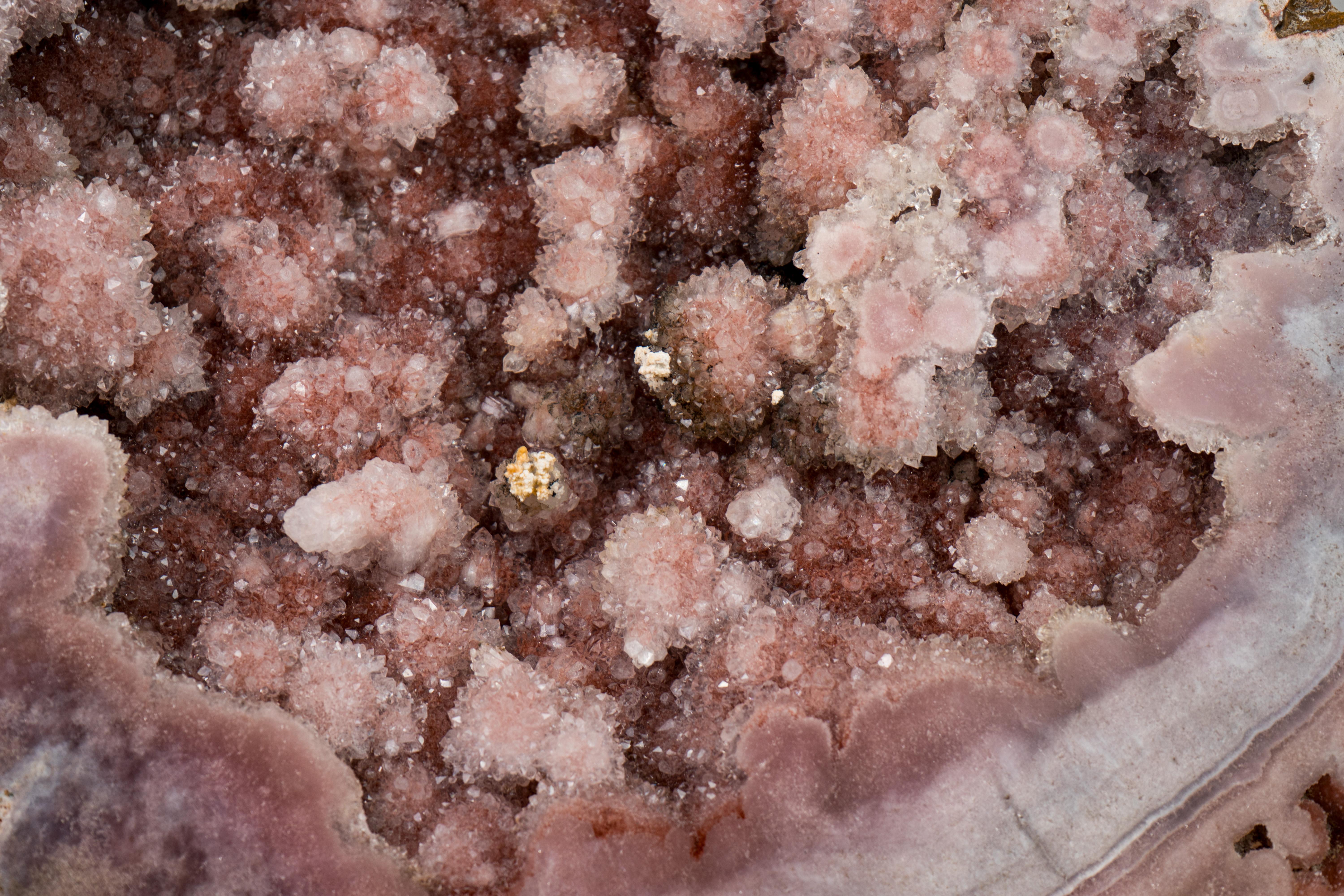 Wunderschöne XL-Galerie-Grad rosa Amethyst Geode (Kristall) im Angebot
