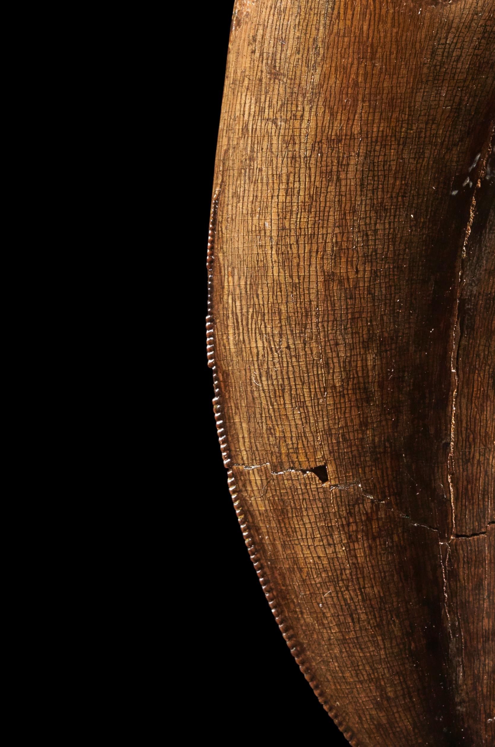 Dente di Gorgosauro o di T-rex In condizioni buone in vendita a London, GB