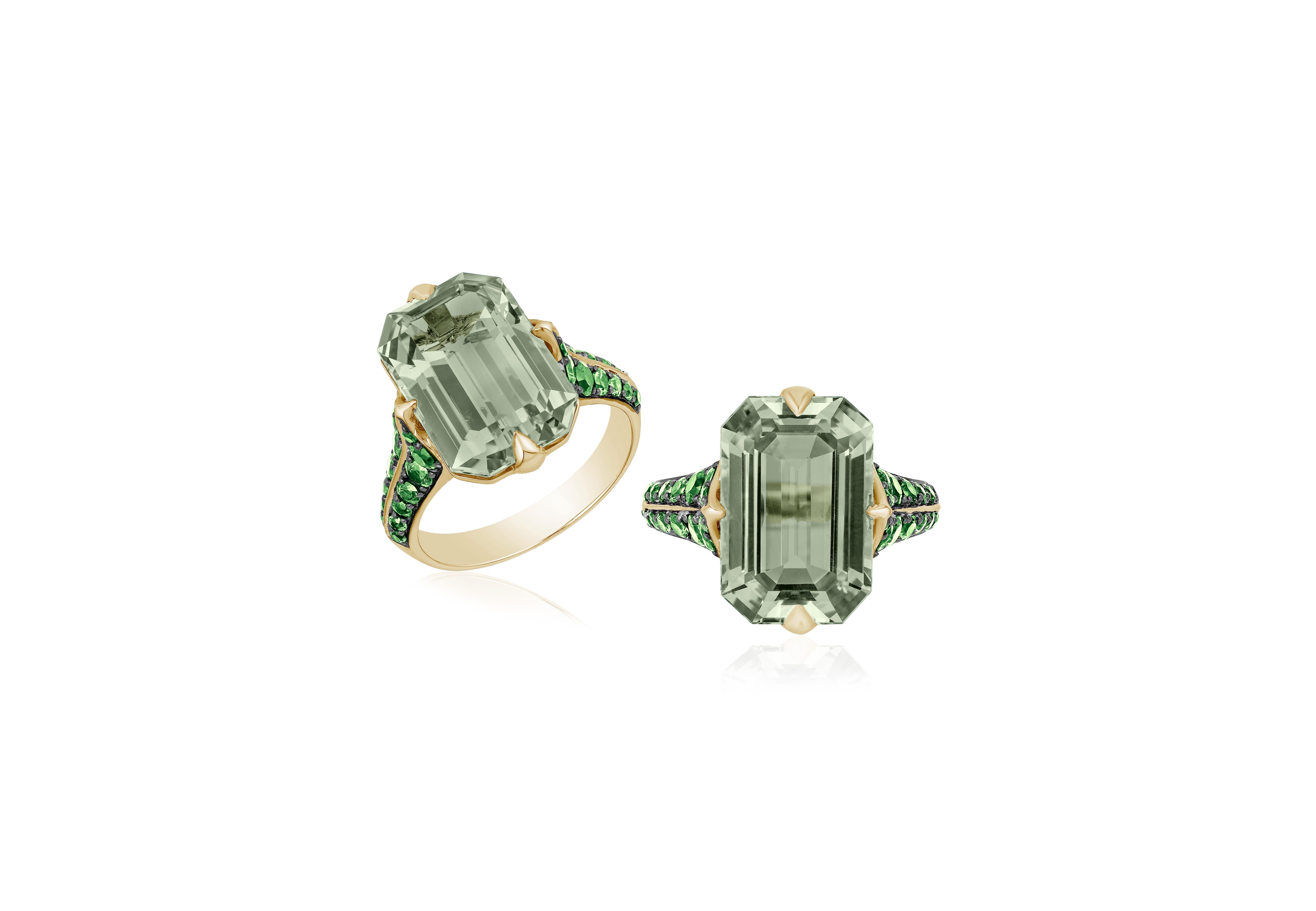 Prasiolite Emerald Cut Ring with Tsavorite in 18K Yellow Gold, from 'Rain-Forest' Collection

Stone Size: 15 x 10 mm

Gemstone Approx. Wt: Prasiolite- 6.44 Carats
                                          Tsavorite- 0.75 Carats