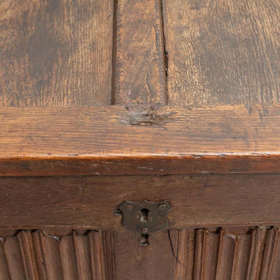 Gothic 16th Century Wood Chest For Sale 8