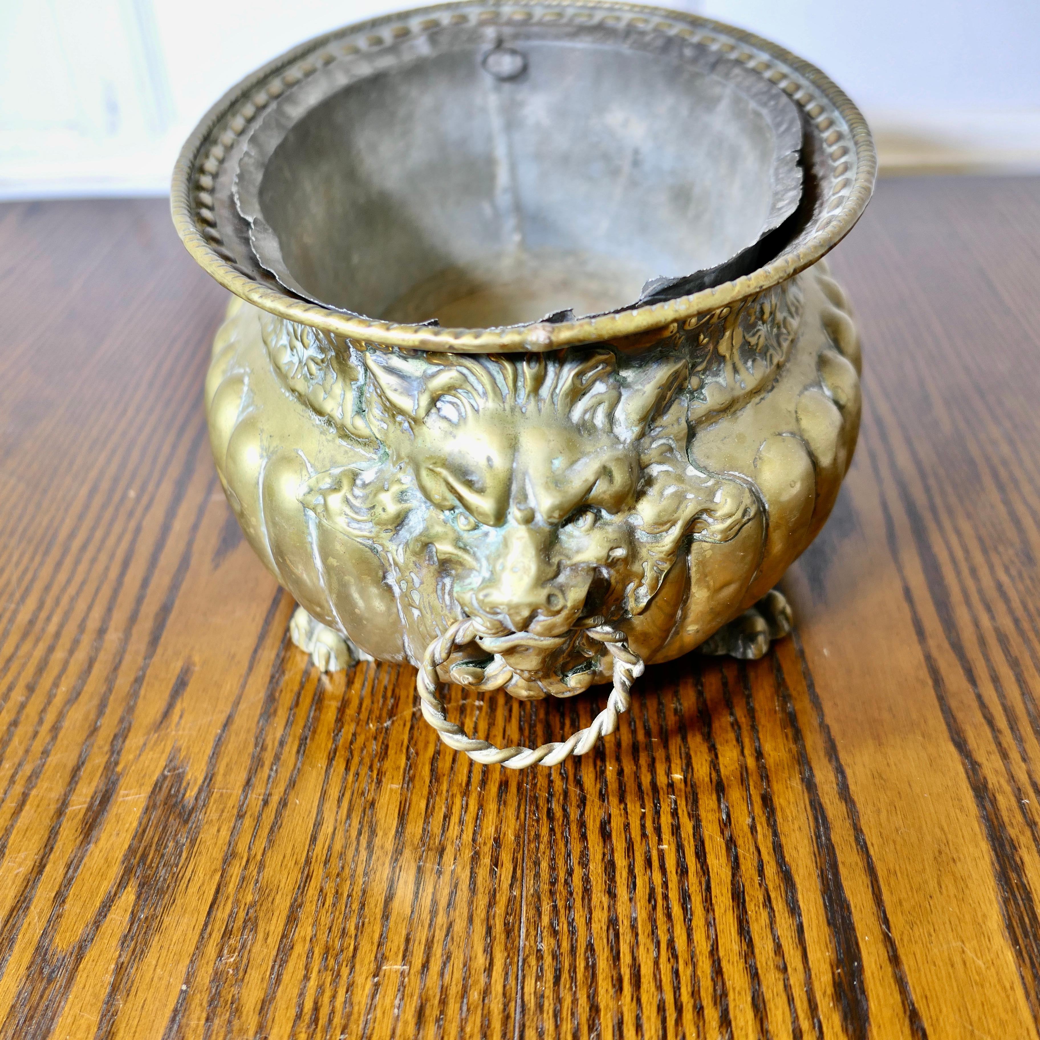 XIX secolo Jardiniere gotico in ottone con manici a forma di maschera di leone e rivestimento in vendita