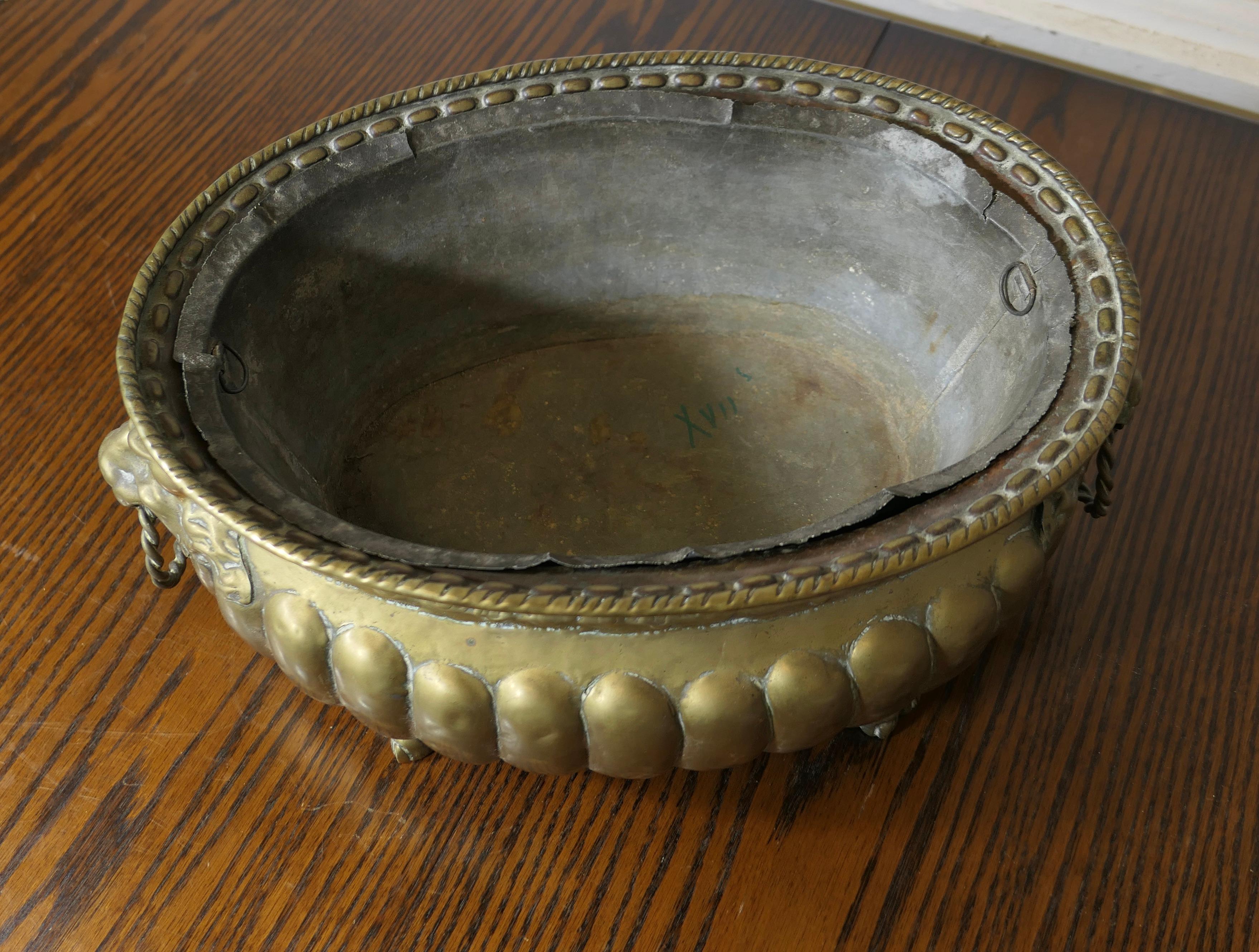 Jardiniere gotico in ottone con manici a forma di maschera di leone e rivestimento in vendita 1