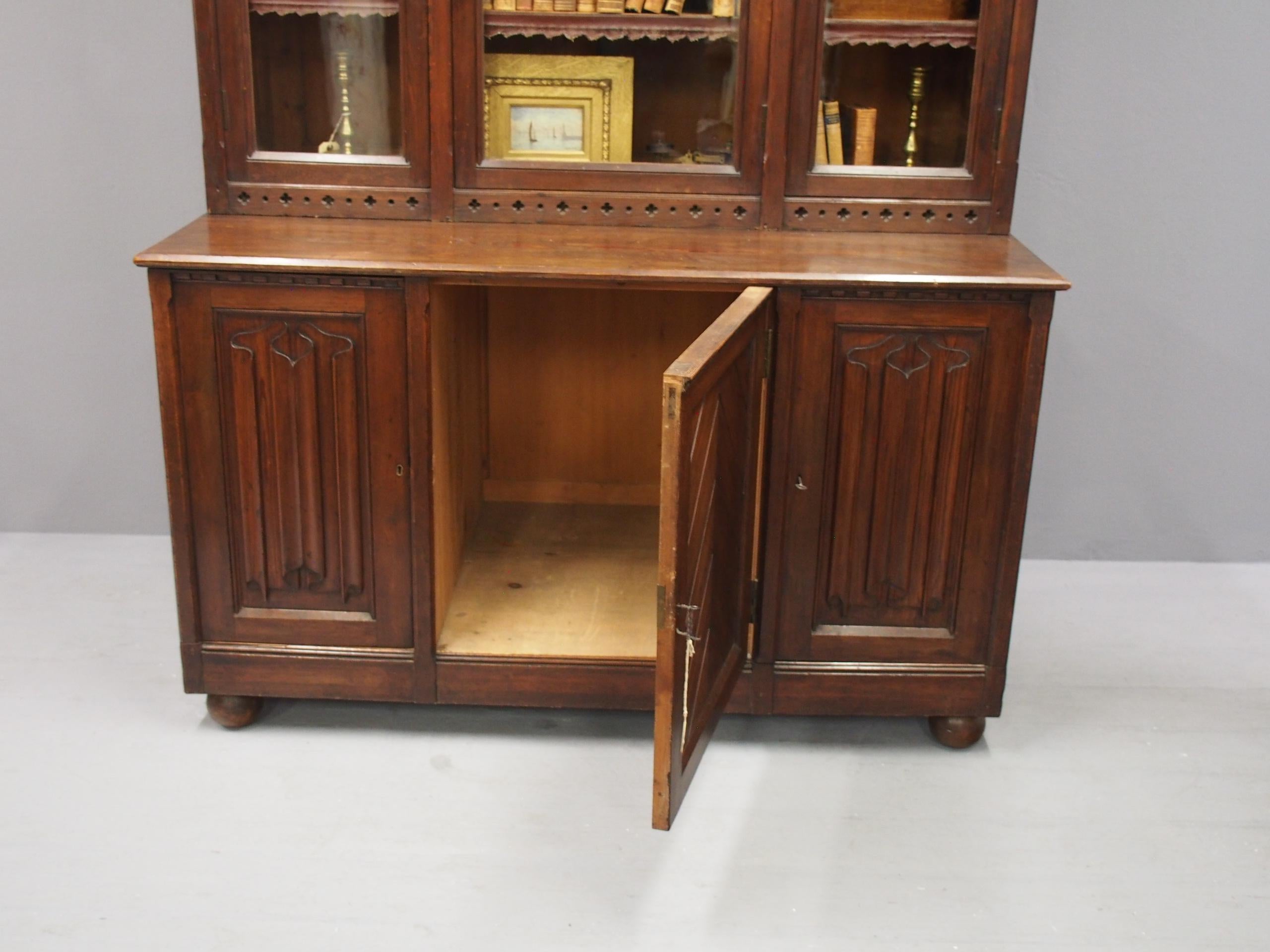 Gothic Scottish Pitch Pine Cabinet Bookcase For Sale 6