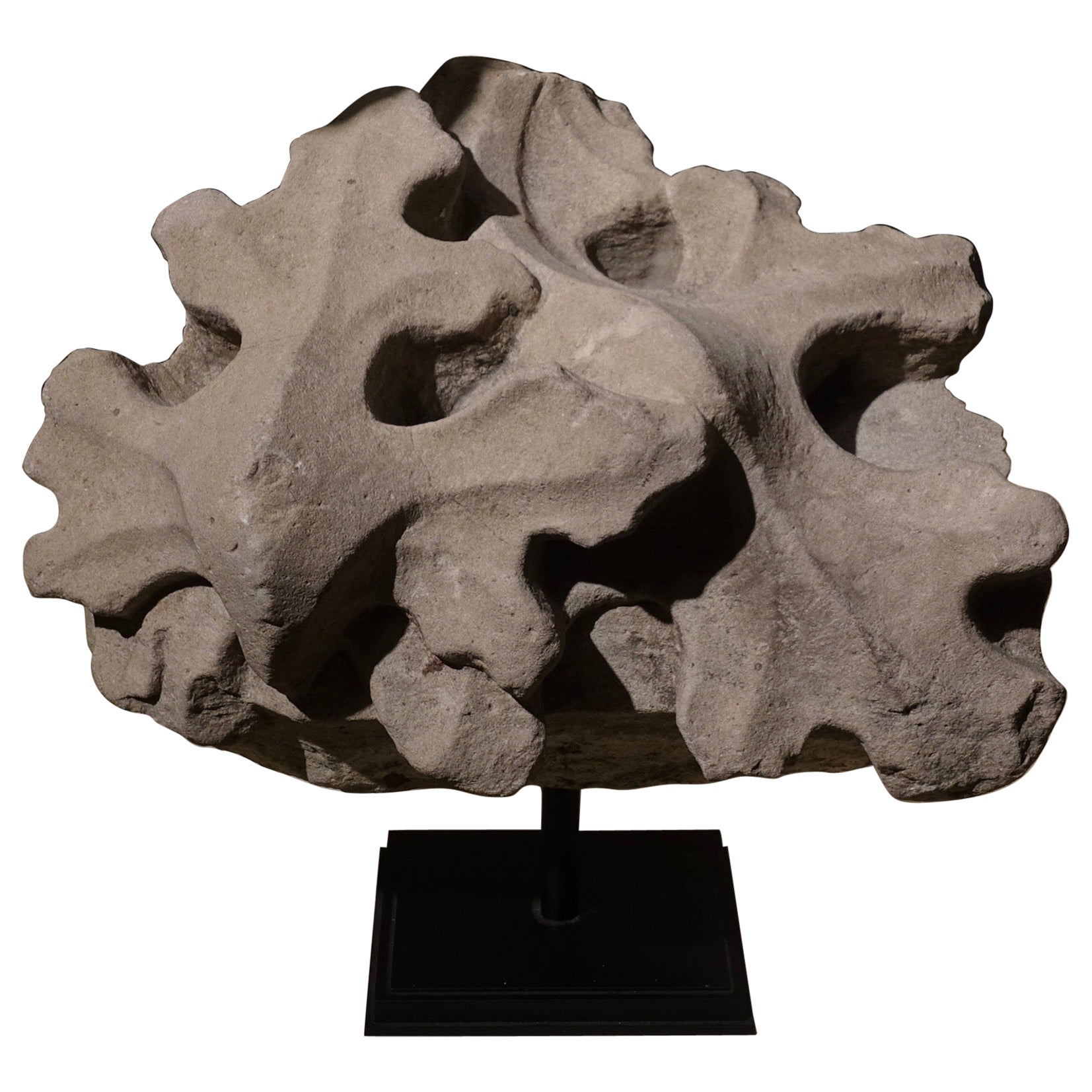Fragment de pierre gothique représentant des feuilles de vigne, France, 15e siècle
