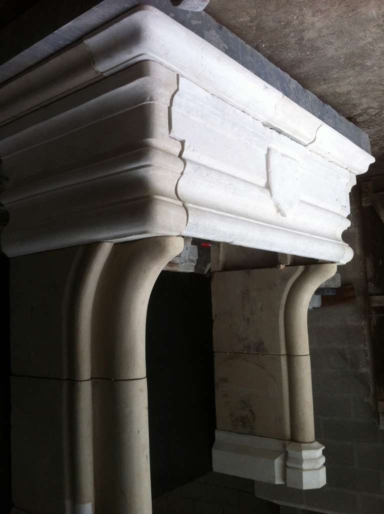 Gothic Style Fireplace in Limestone from France, Restaured in the 20th Century For Sale 2